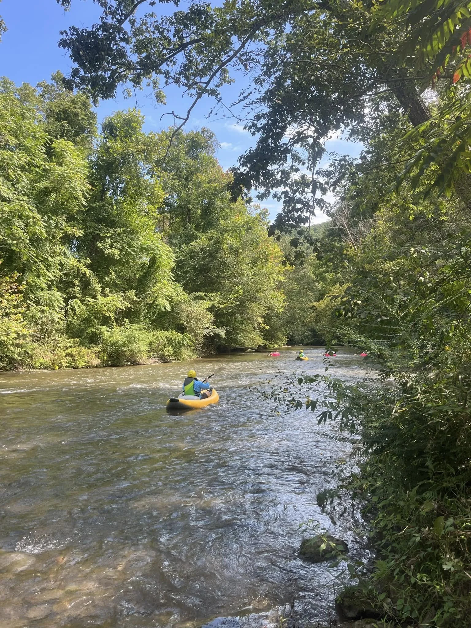 People in kayaks floating down a river surrounded by lush green trees, under a clear blue sky.