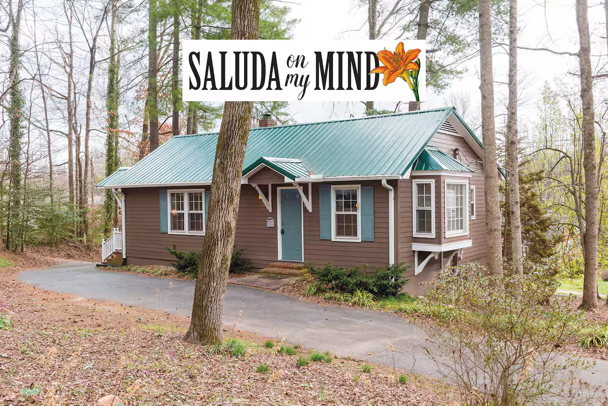 A house with a green metal roof, brown siding, and white trim, surrounded by trees and woodland, with a paved driveway in front.