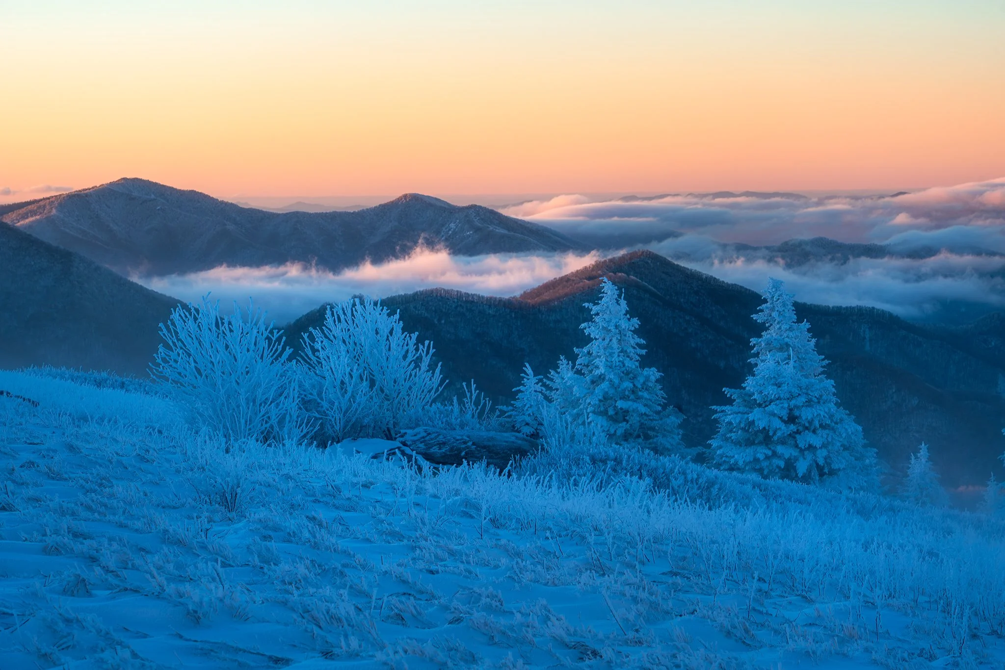 A scenic winter landscape featuring snow-covered trees in the foreground, layered mountain ranges in the mid-ground, and a pastel-colored sky at sunrise or sunset with clouds lingering near the mountains.