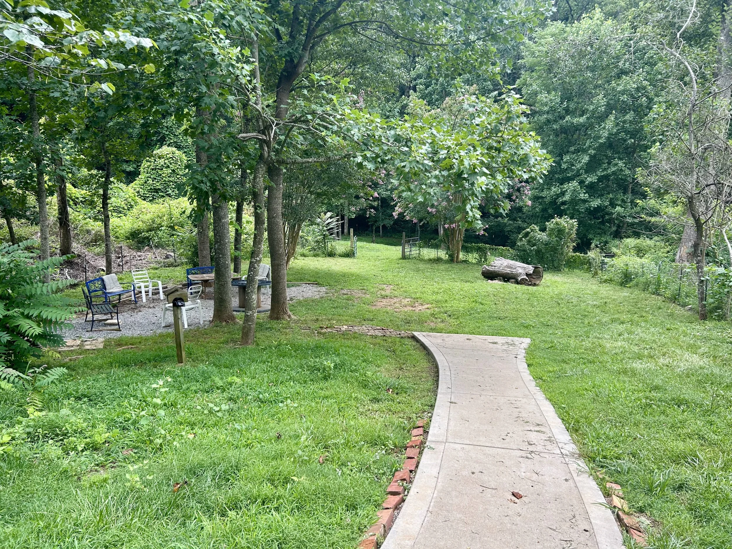A lush green backyard with a winding concrete pathway, surrounded by trees, shrubs, and a grassy lawn. There are chairs and a table near the trees, and a log on the grass.