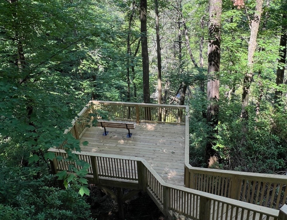 Wooden observation deck with a bench, surrounded by dense green forest.