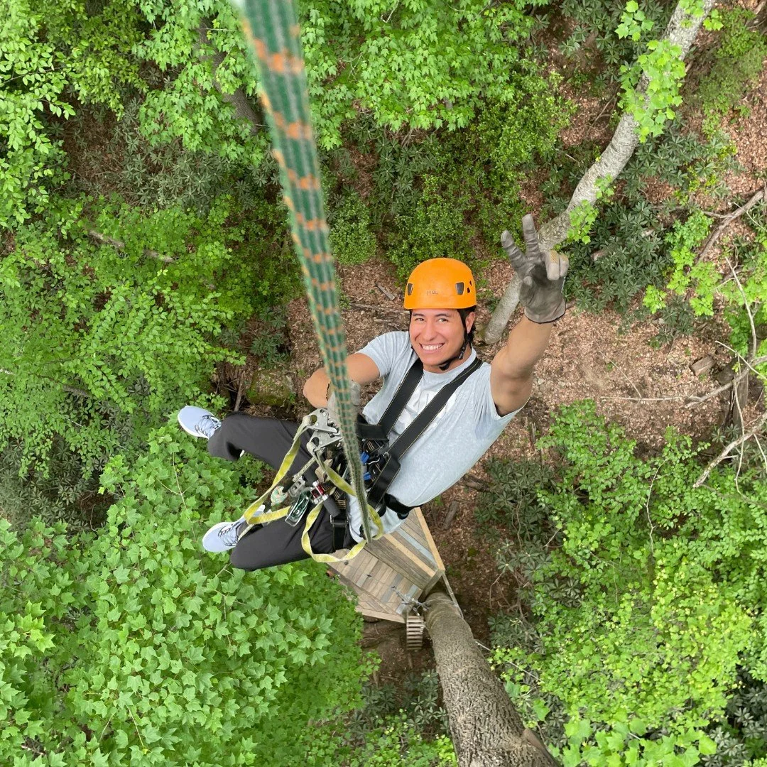 A man smiling and giving a peace sign while climbing a tall tree, wearing a yellow safety helmet and harness, high above the green leaves with a small platform or treehouse below.