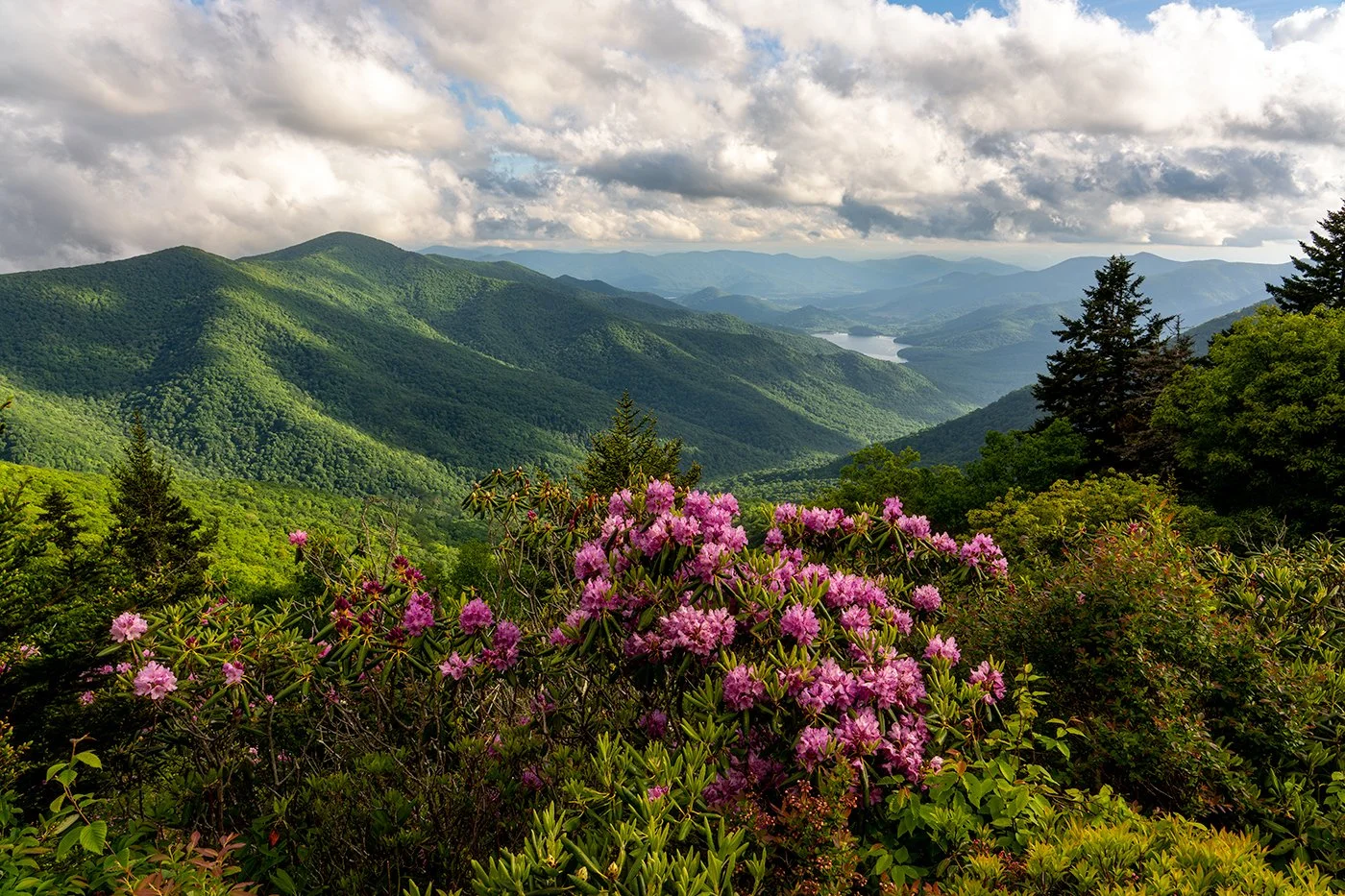Lush green mountain landscape with pink rhododendron flowers in the foreground, cloudy sky above, and distant blue mountains and a lake in the background.