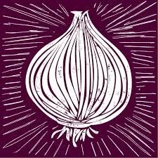 Line drawing of a garlic bulb with radiating lines in the background