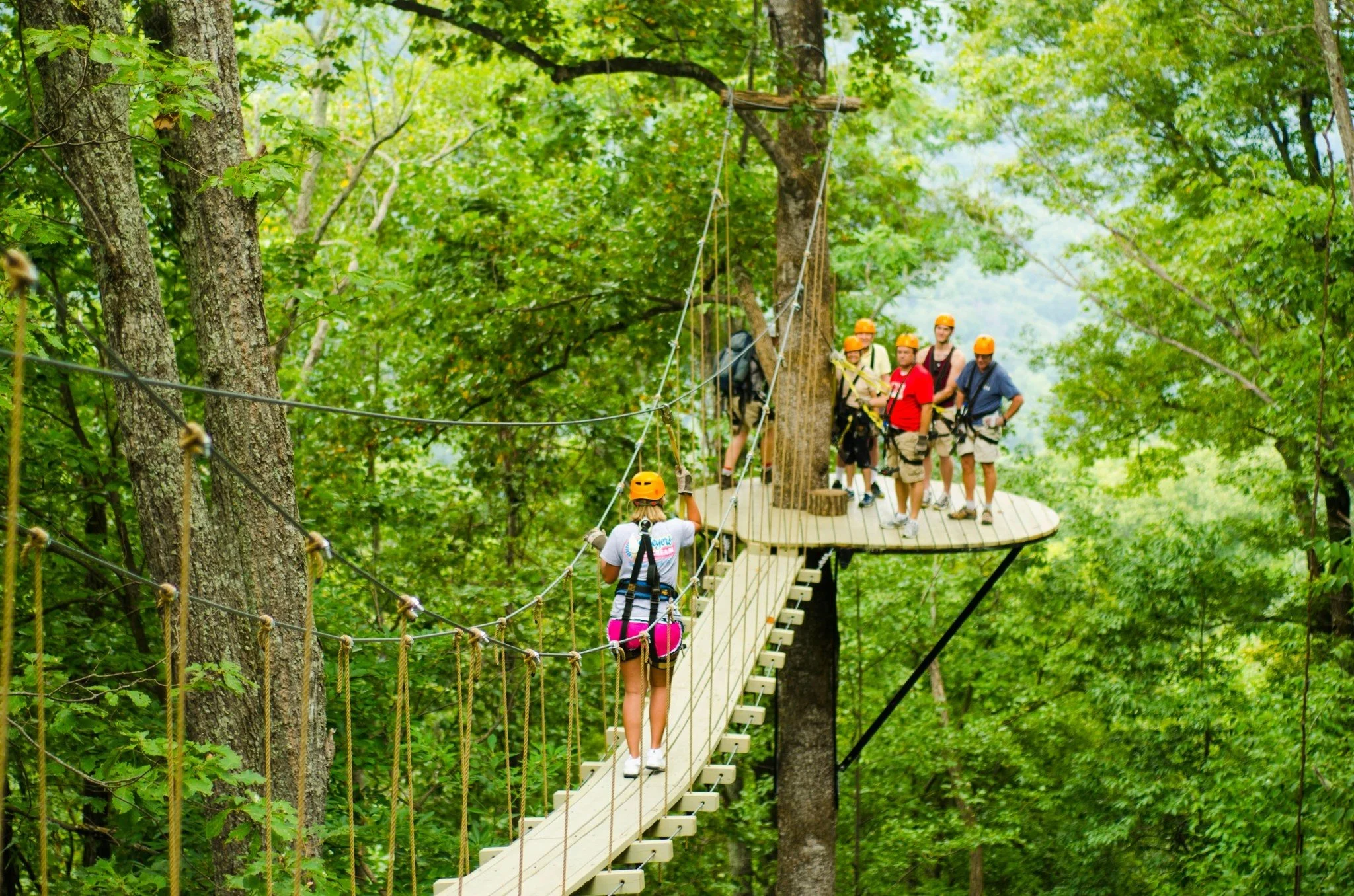 People wearing helmets walking on a suspension bridge high in the trees in a forest.