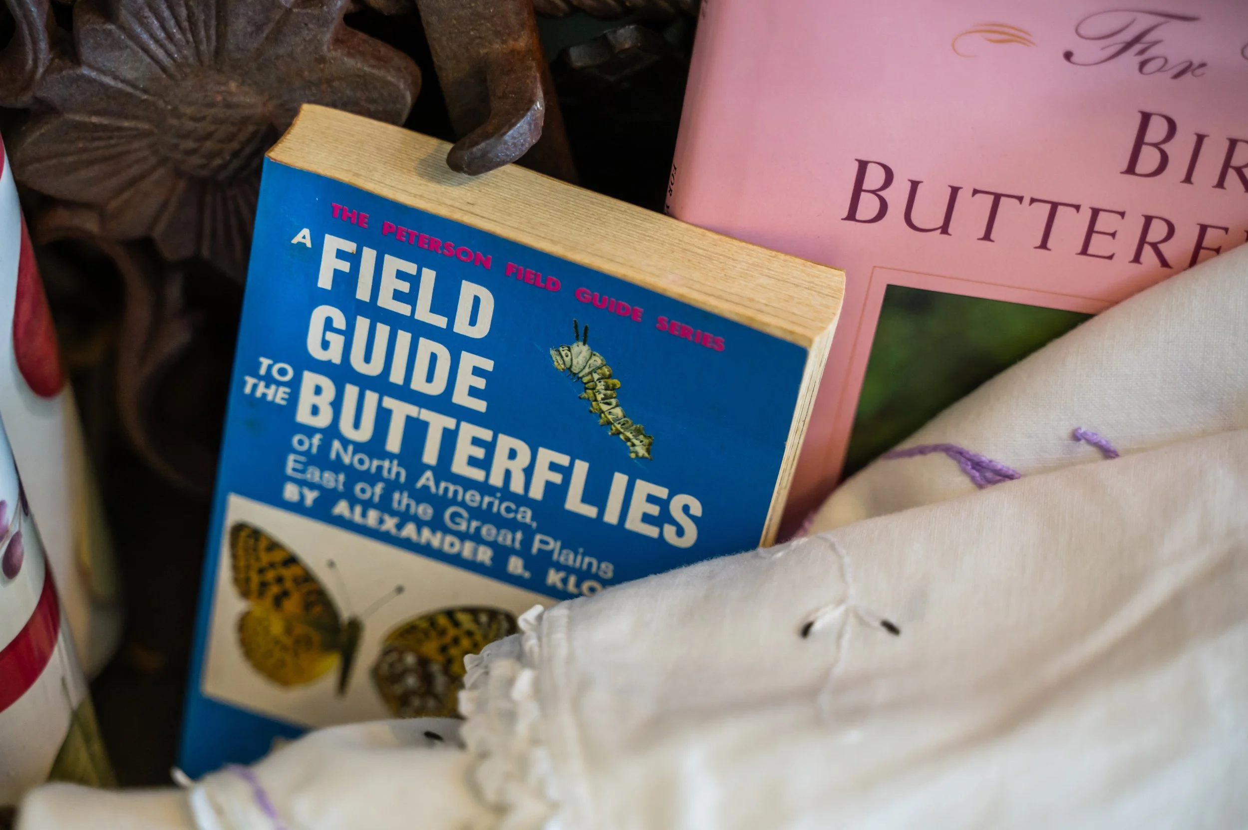 Close-up of a blue book titled "The Peterson Field Guide Series: The Butterfly of North America" inside a shopping bag, with parts of other books or items visible around it.