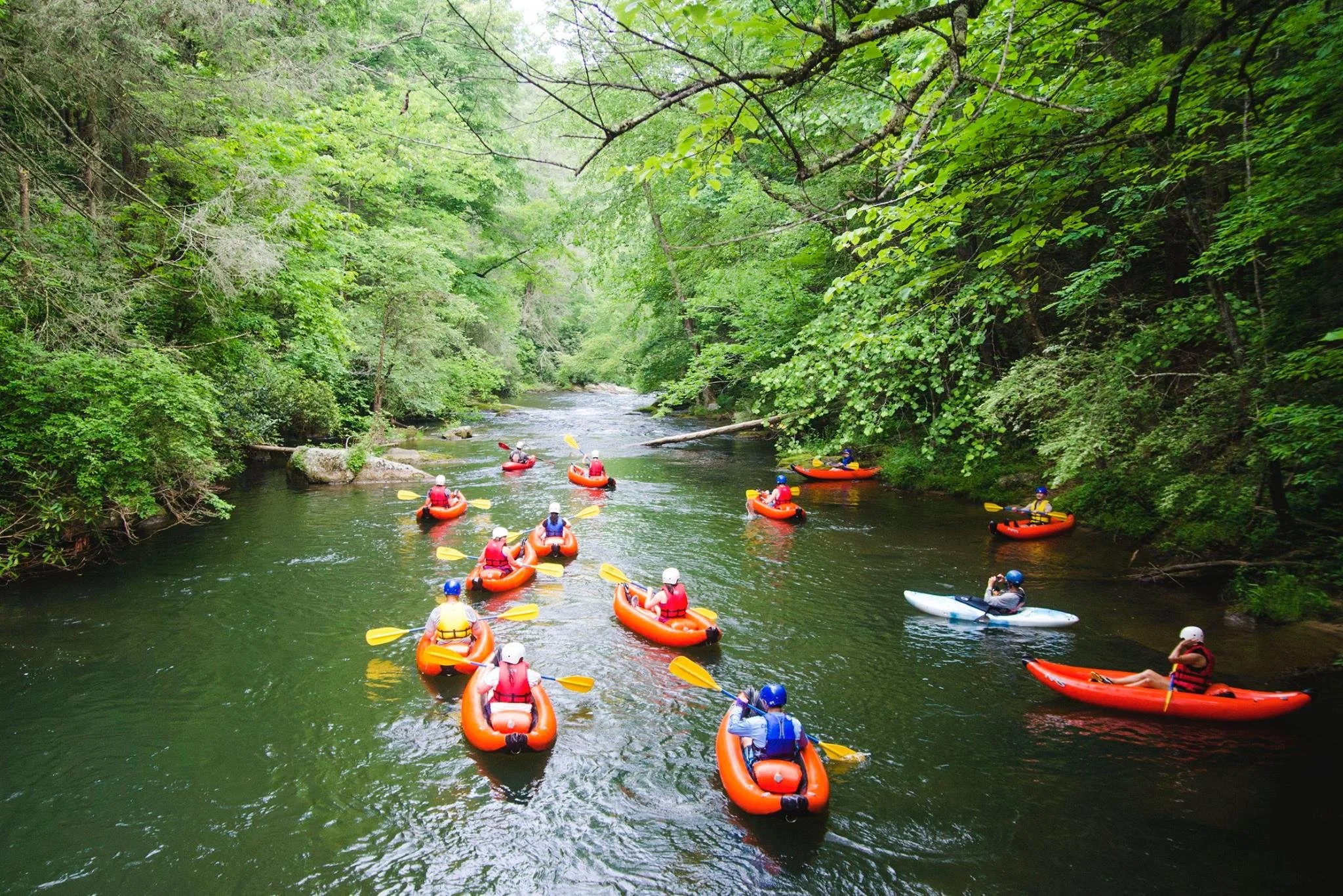 Group of people kayaking on a river surrounded by dense green trees.