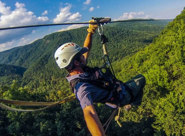 Person ziplining over a lush green forest on a sunny day