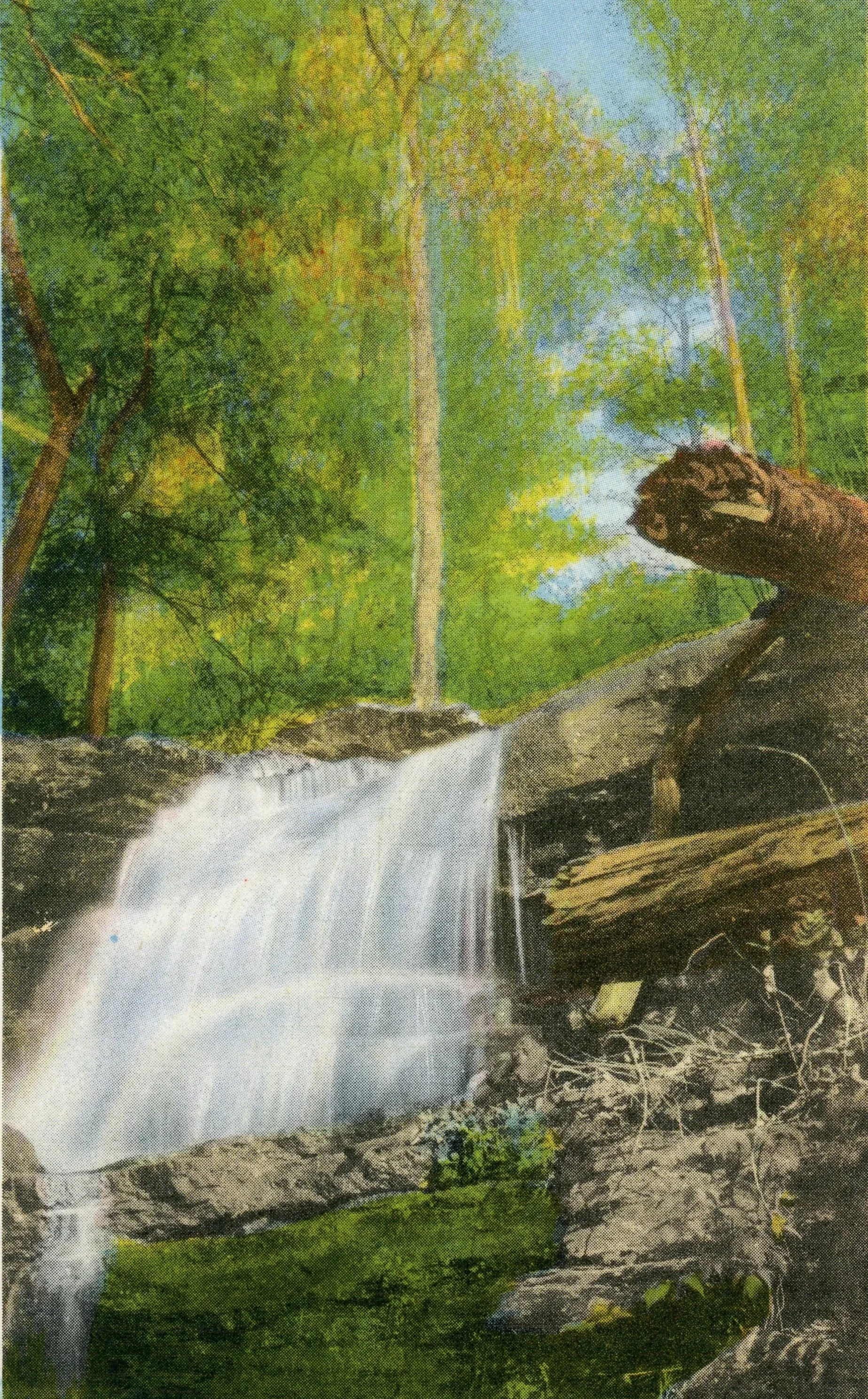 A waterfall flowing over rocks in a lush green forest.
