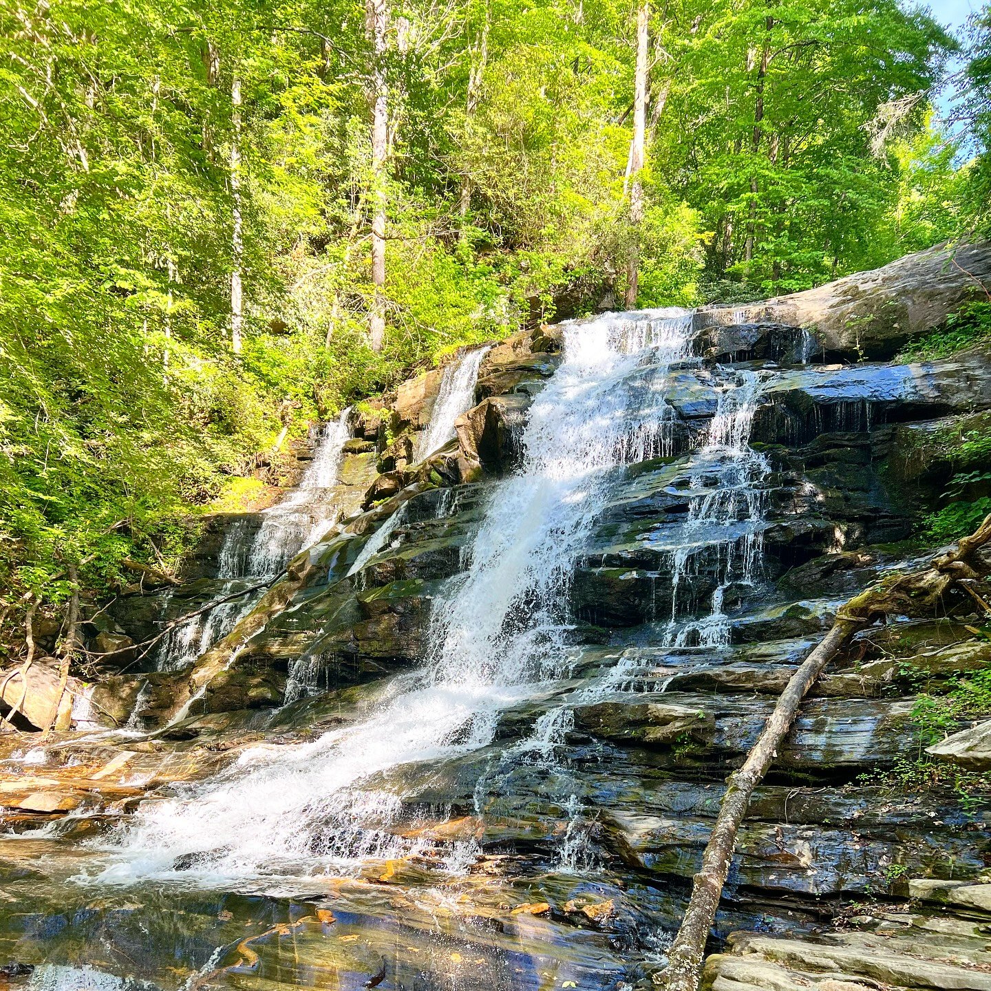 A cascading waterfall flowing over rocks in a lush green forest.