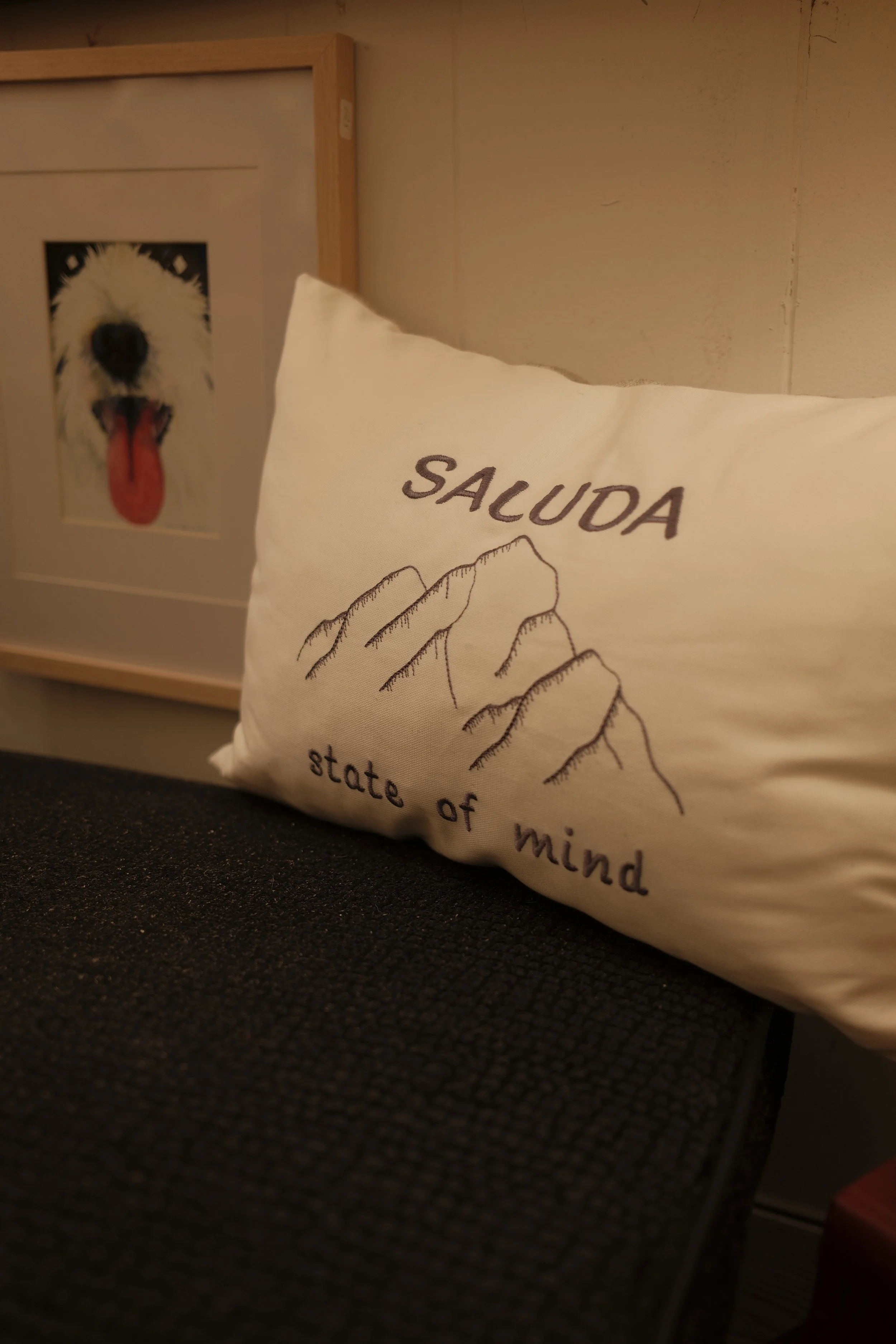 A close-up of a white pillow with the word 'SALUDA' embroidered on it, featuring a hand-drawn mountain range, placed on a black textured surface. In the background, there is framed artwork of a fluffy white dog with its tongue hanging out.