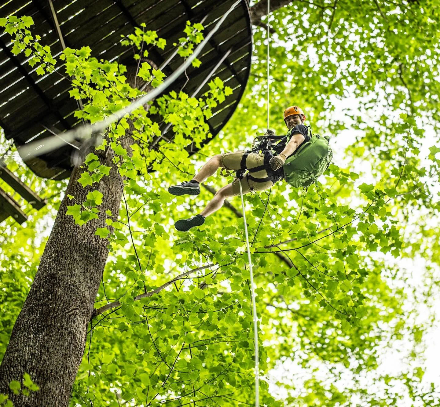 Person wearing a helmet and harness hanging from a tree, smiling, with a treehouse above and green leaves surrounding them.