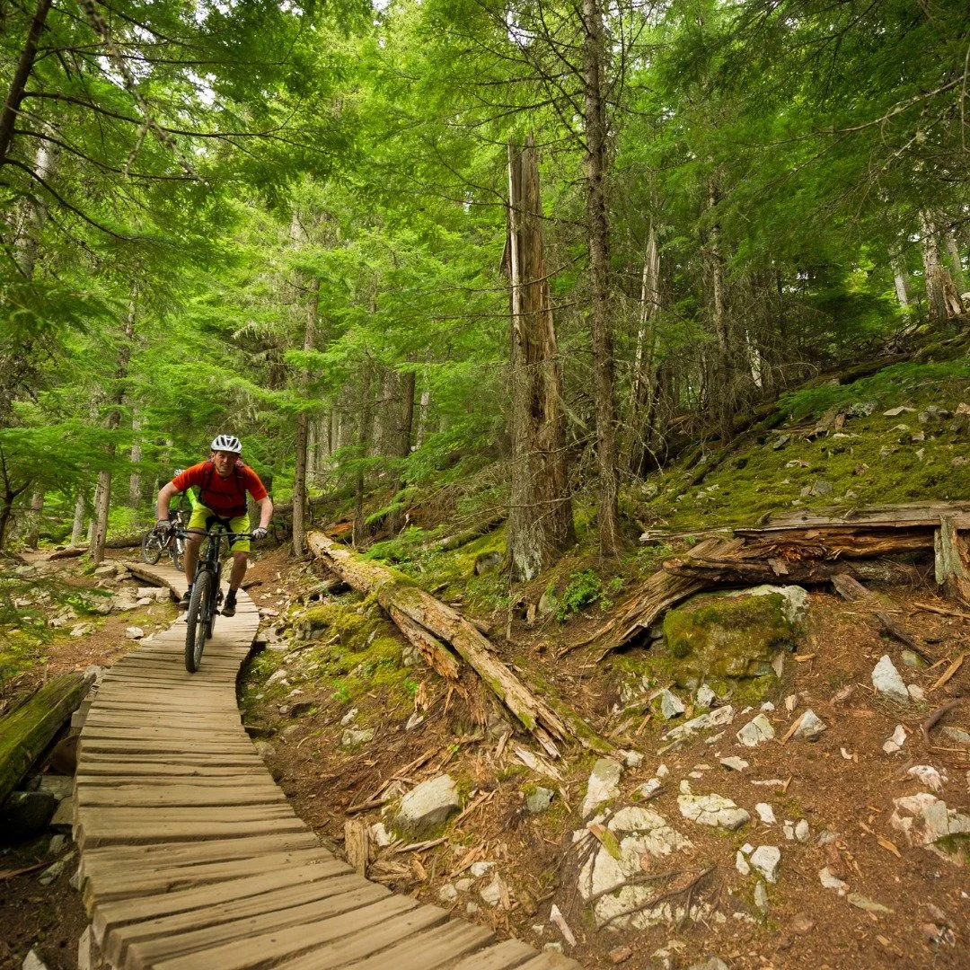 A person riding a mountain bike on a narrow wooden trail through a dense green forest.