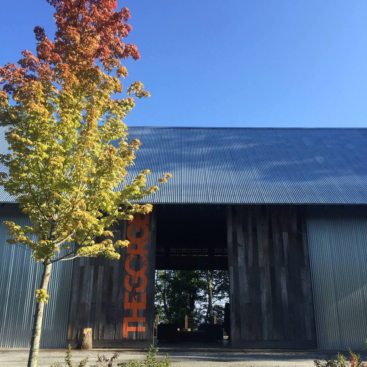 A barn with a blue metal roof and wooden siding, with a tree in front showing fall colors, and a clear blue sky in the background.