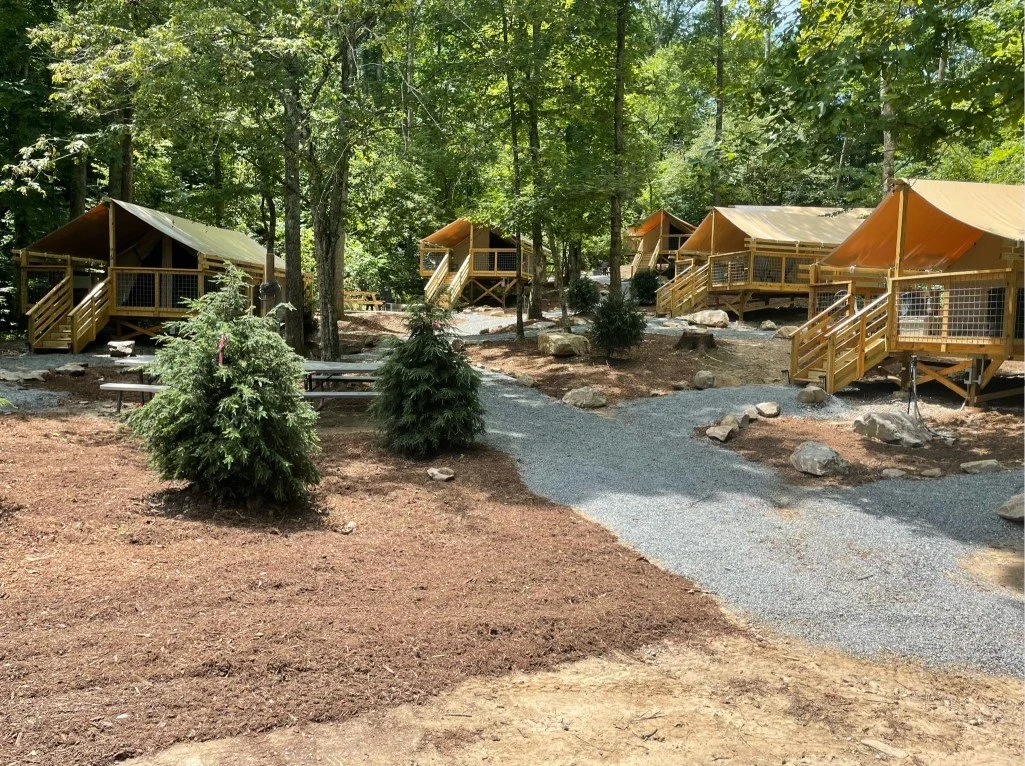 Several wooden cabins with orange roofs are situated among tall trees in a forested area. The cabins have stairs leading up to porches with railings, and there are gravel pathways connecting them. There are some small evergreen bushes and rocks scattered on the ground.