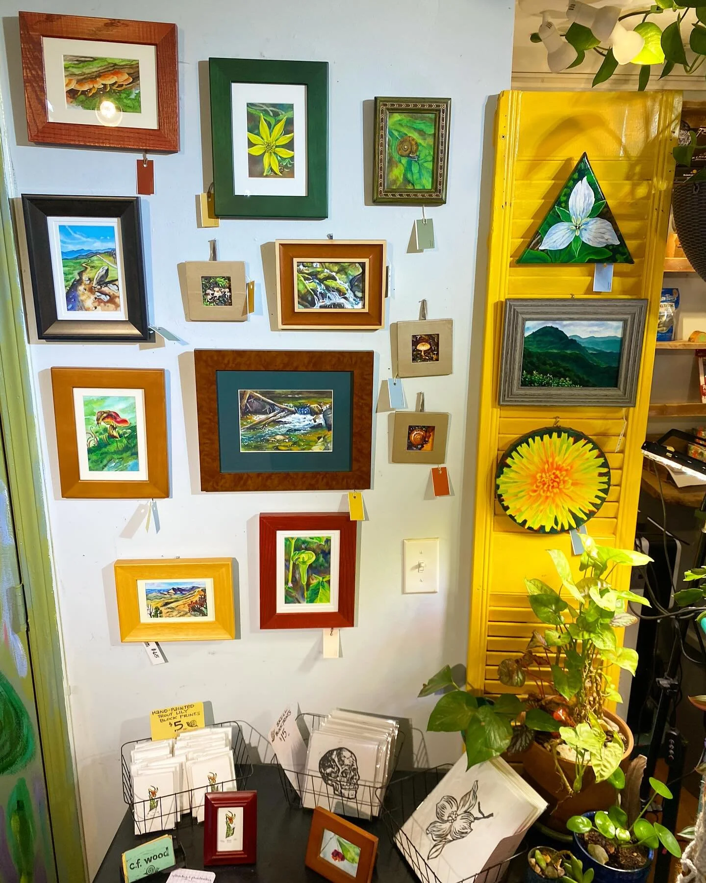 A wall display of various framed paintings and prints, including landscape, nature, and abstract artwork. There are small cards with price tags. A yellow wooden shelf on the right holds more artwork and plants, with a potted plant in front.