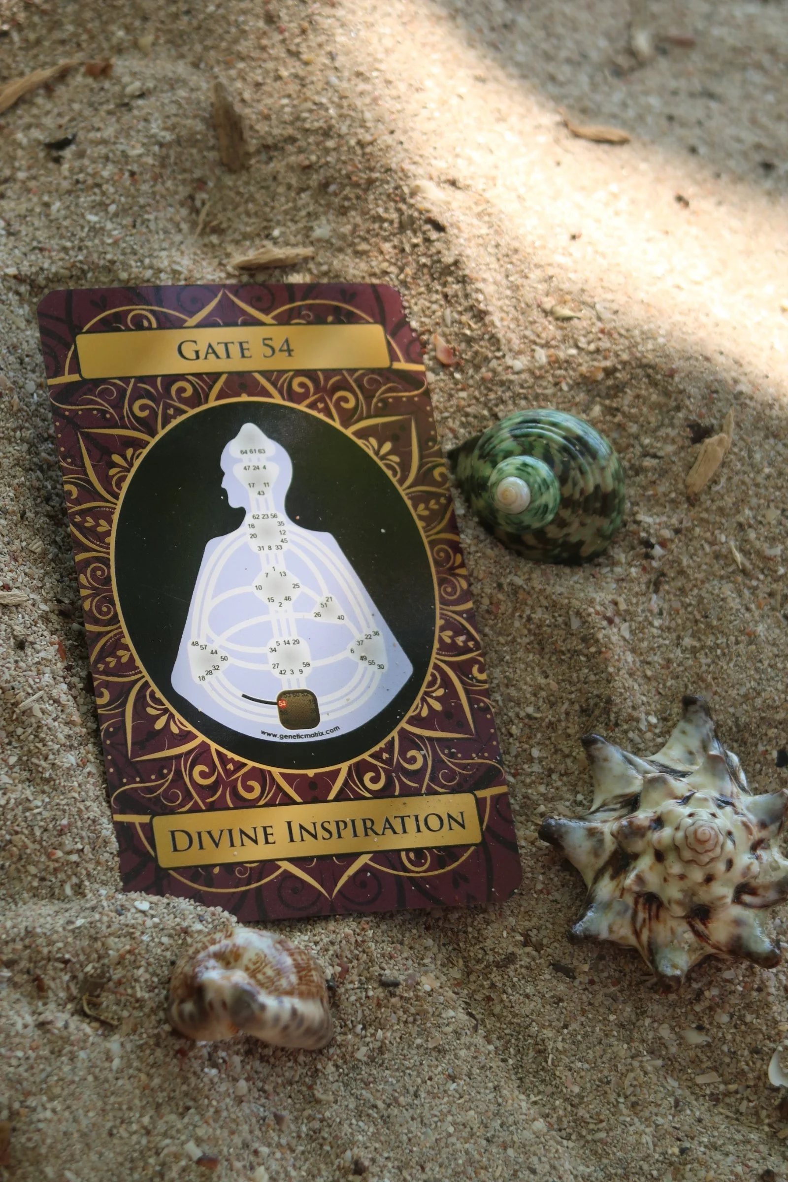 1:1 Human Design Reading