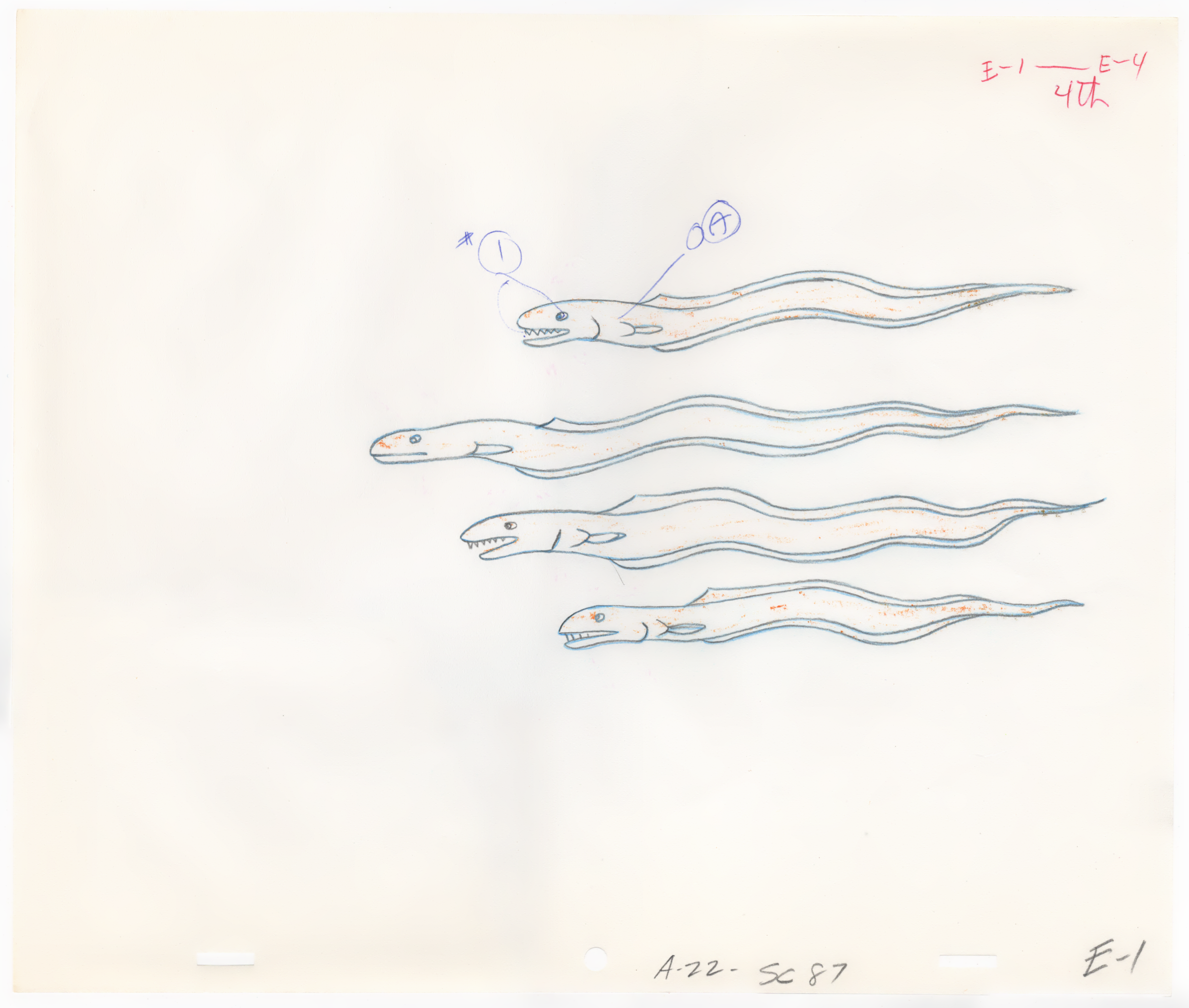 Hand-drawn illustration of four elongated, eel-like sea creatures with sharp teeth, arranged in a descending vertical sequence. The top creature has markings and annotations in red and blue ink.