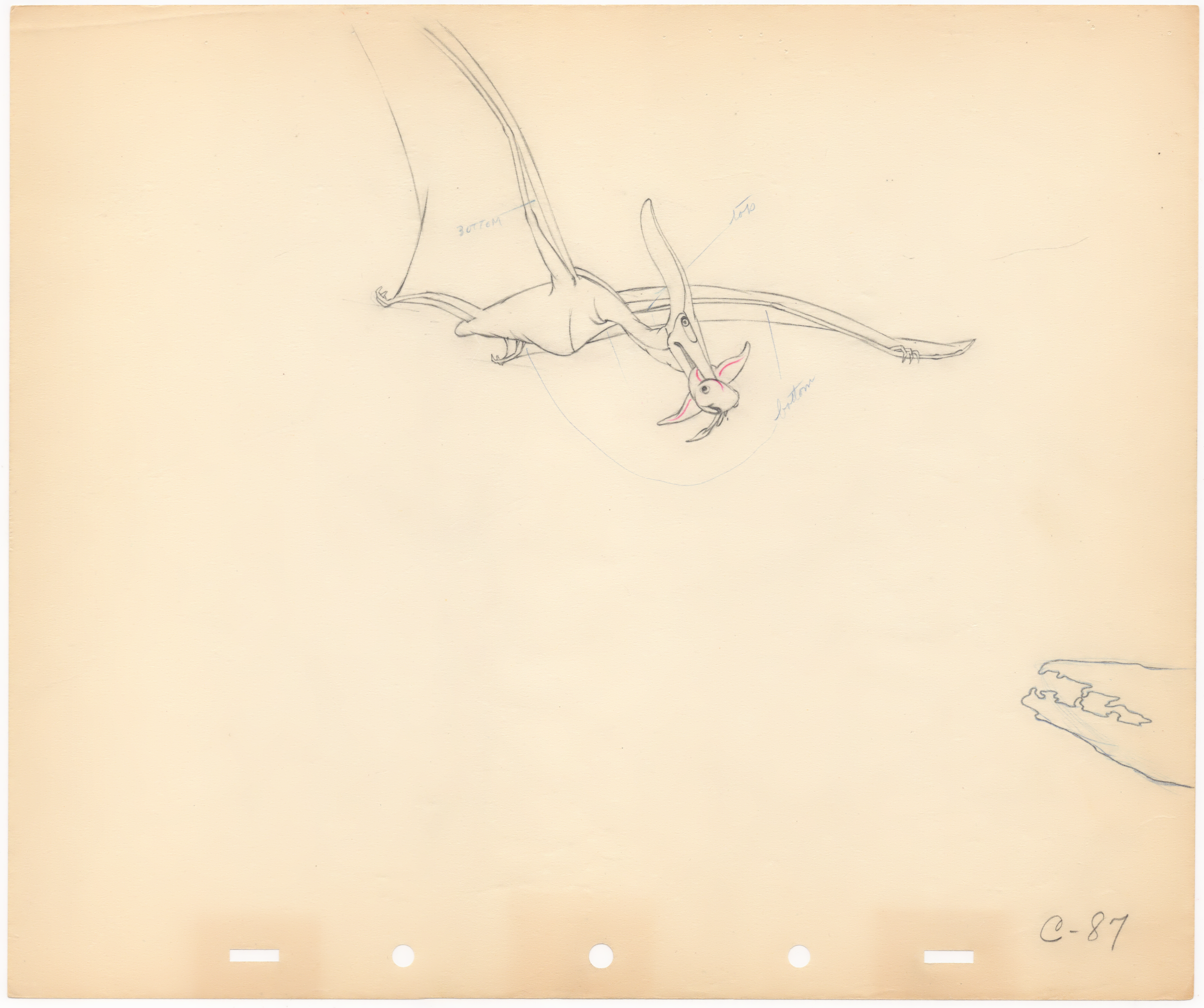 Pteranodon Production Drawing (C-87)