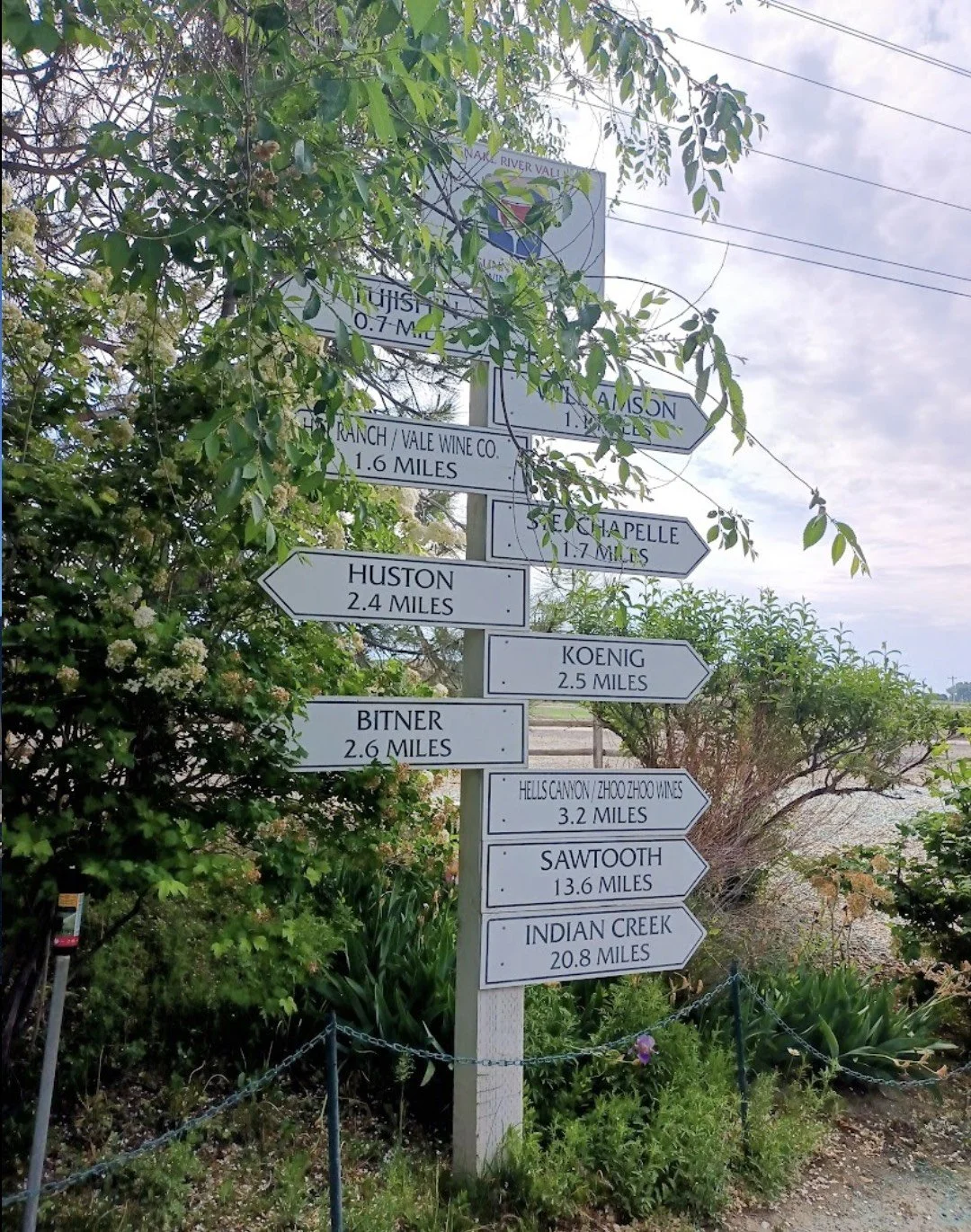 Signpost with multiple directional signs indicating distances to various locations, surrounded by plants and trees.