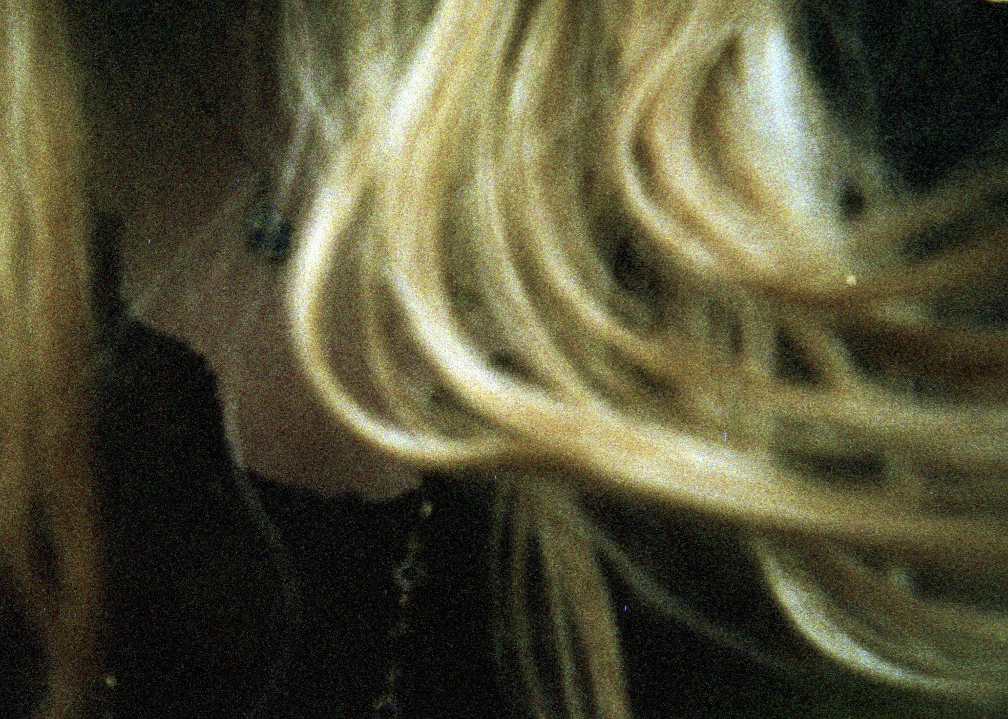 GreenBlonde, 2016, film