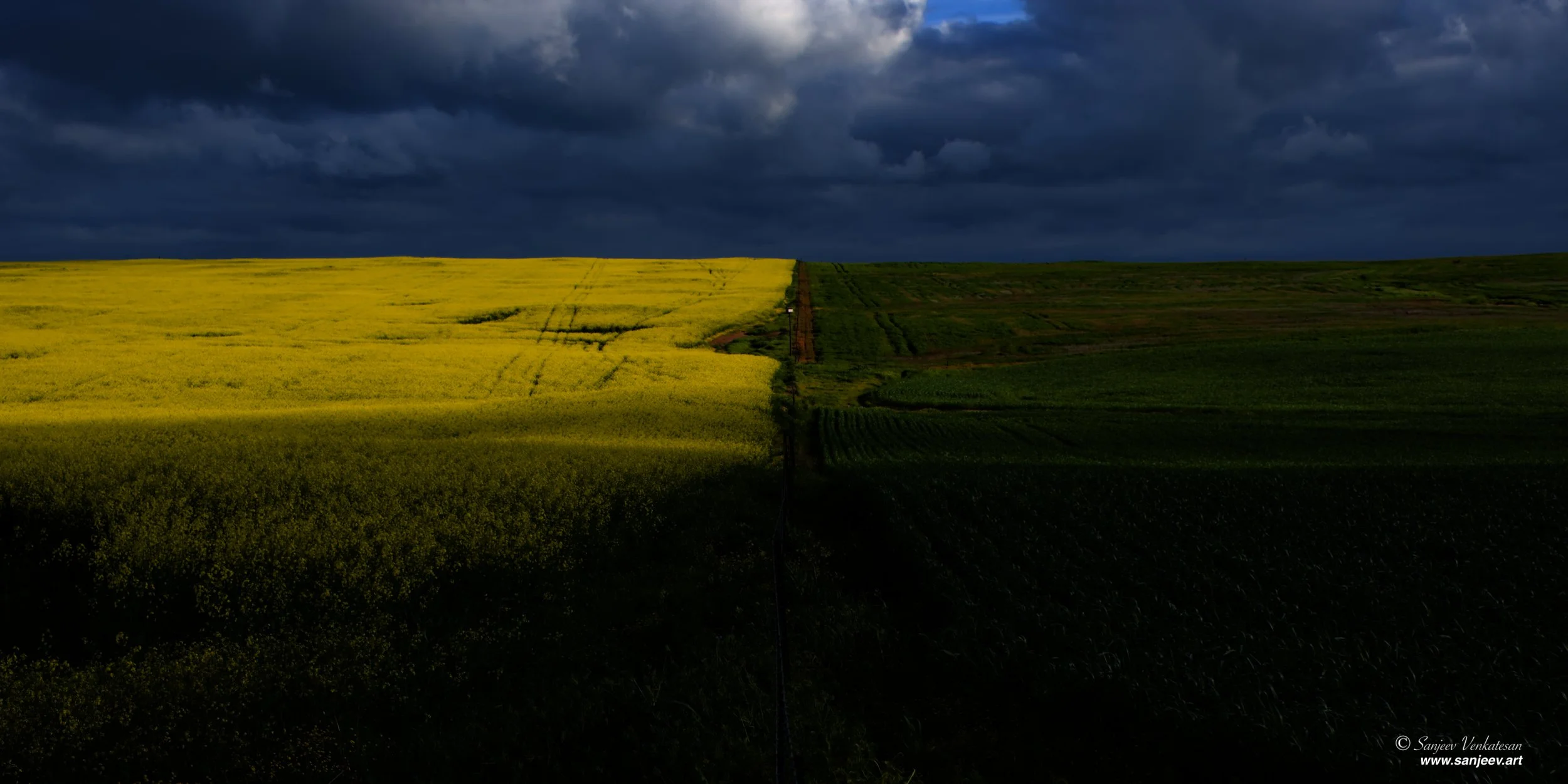 Pub PoppiField Split SA.jpg