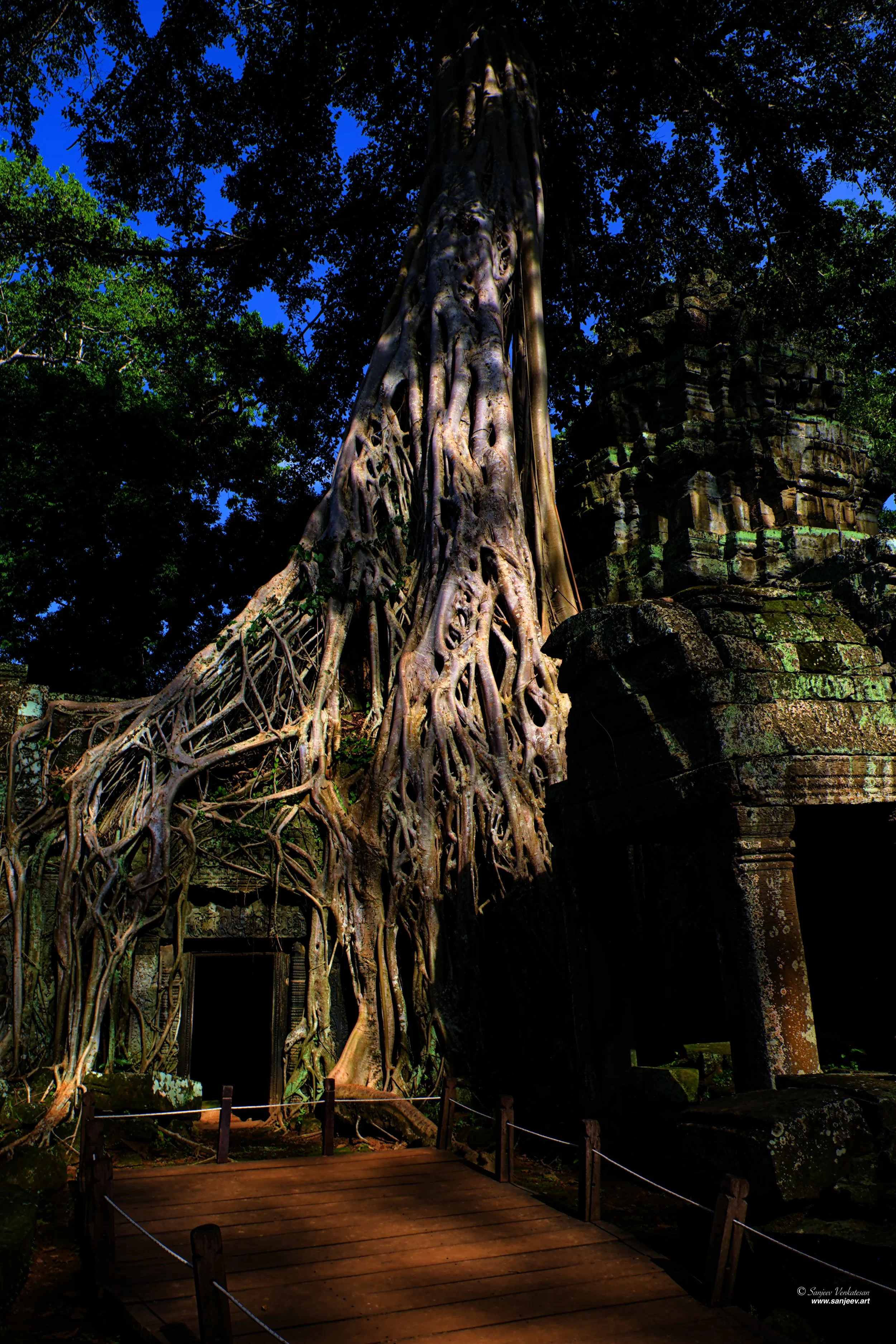 Angkor Creadle Entrance.jpg