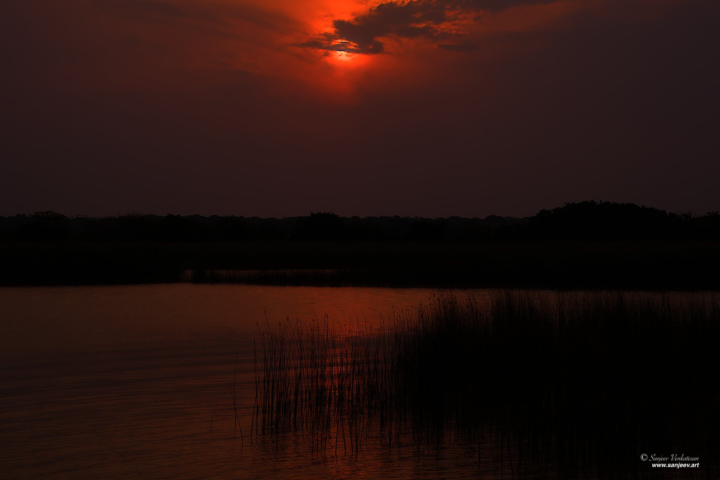 Pub HippoSwamp sunset.jpg