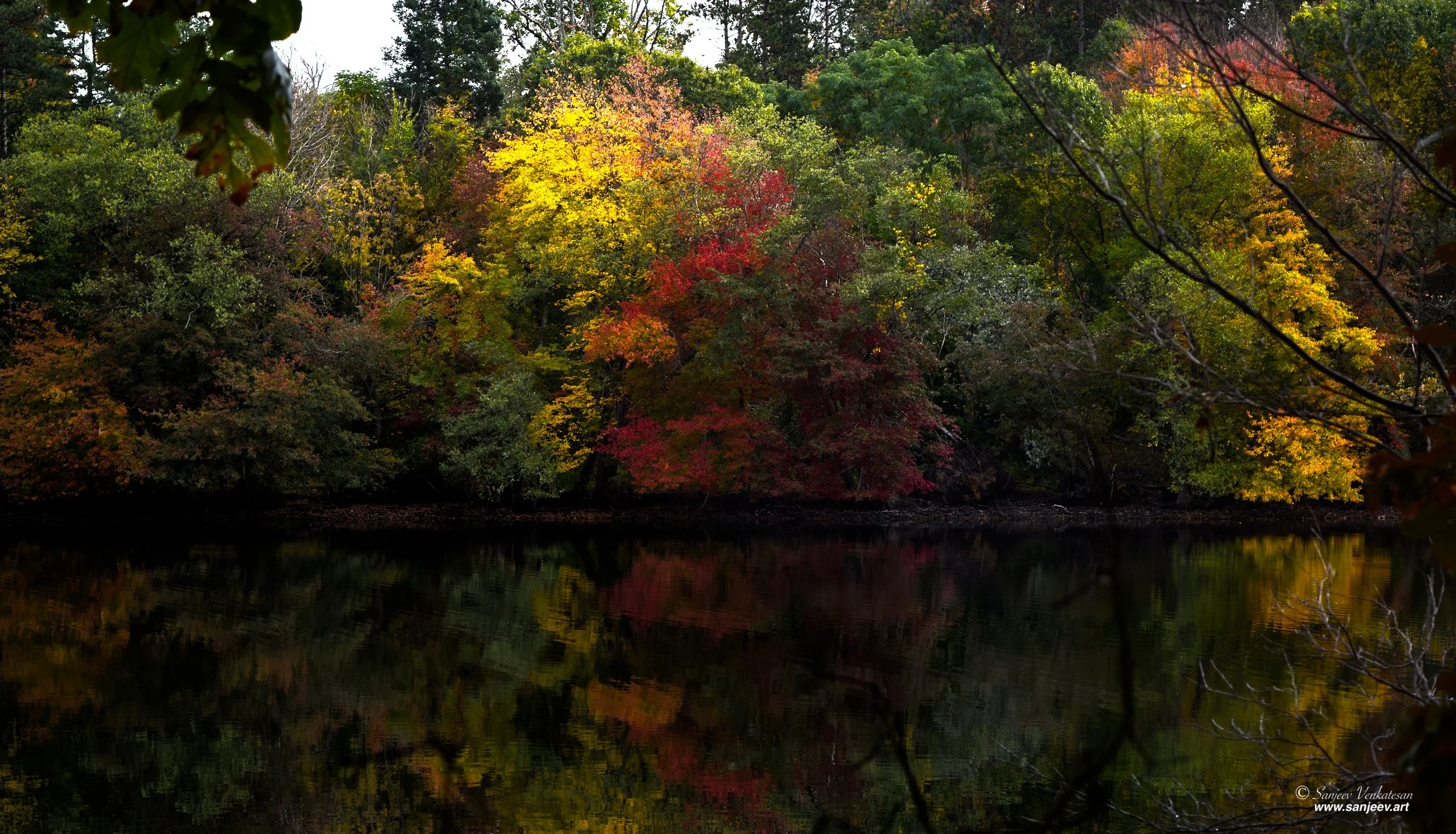 Lake Side Fall.jpg