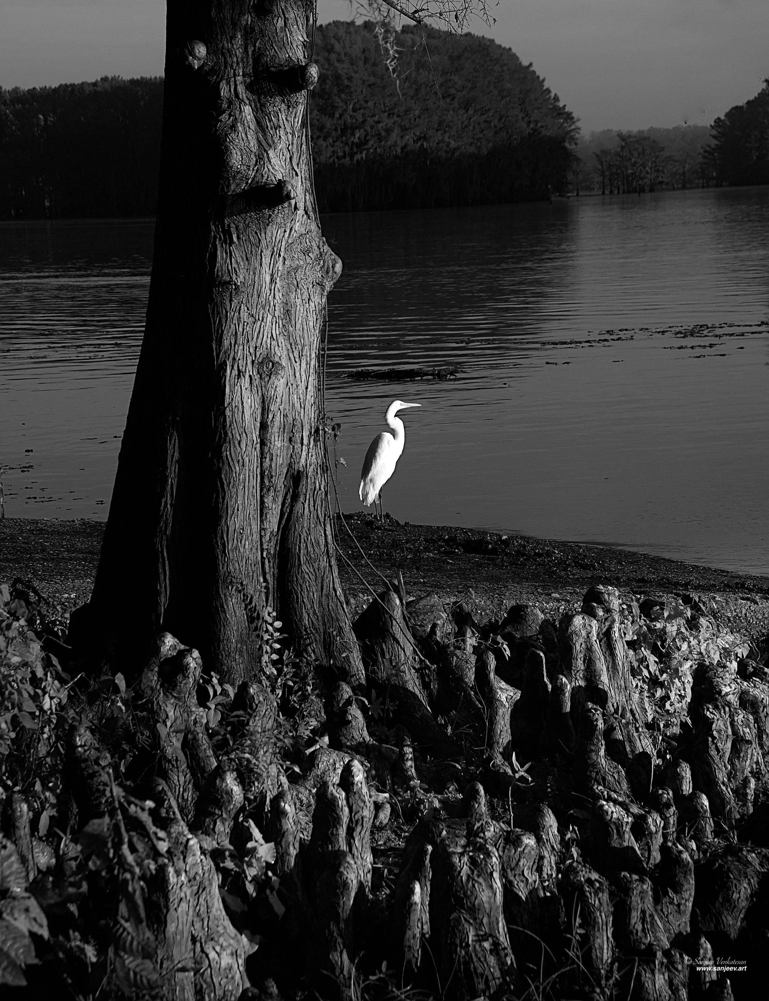 Crane Monk Shack.jpg