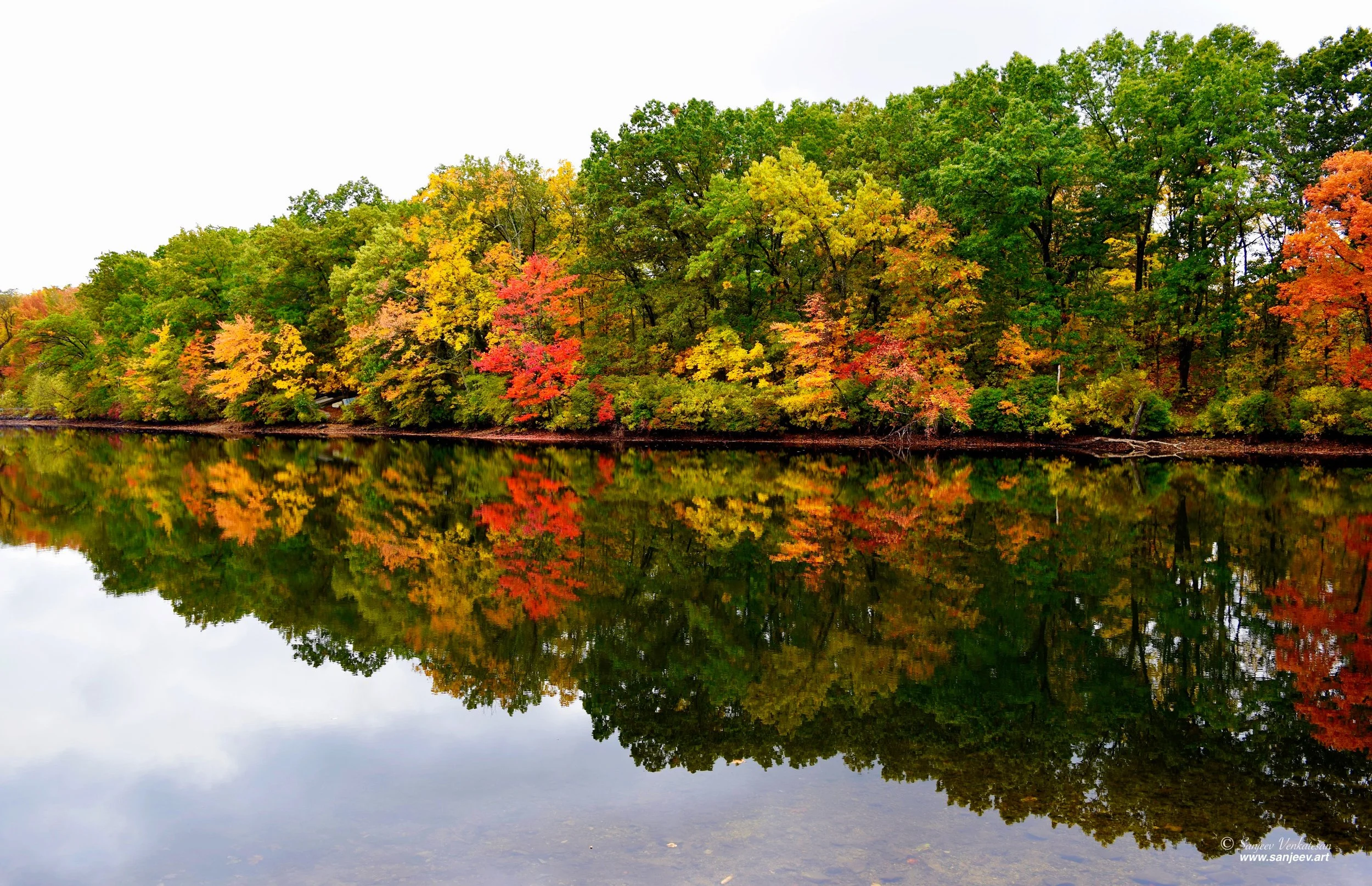Fall reflection HORIZON.jpg