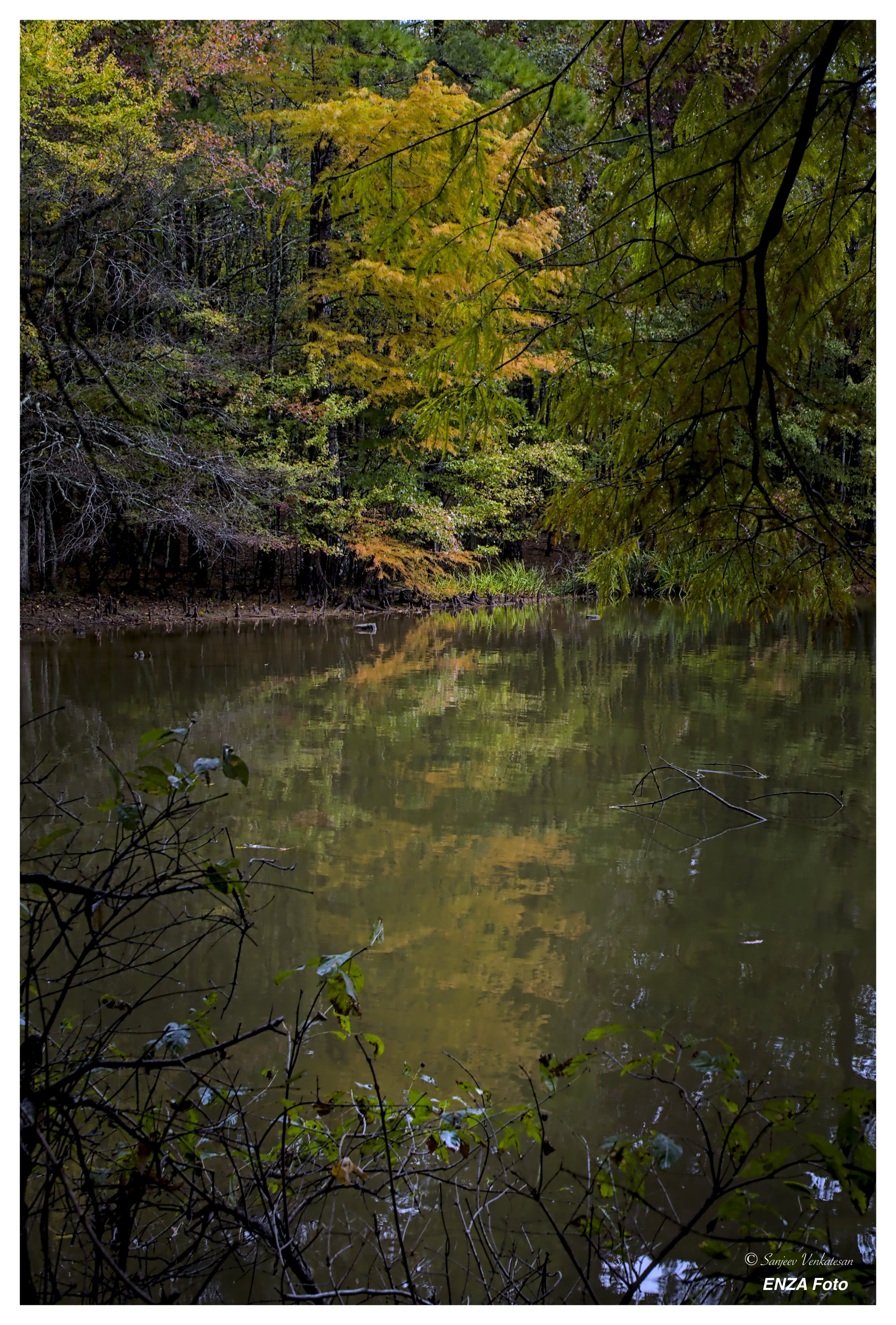 Fall reflection.jpg