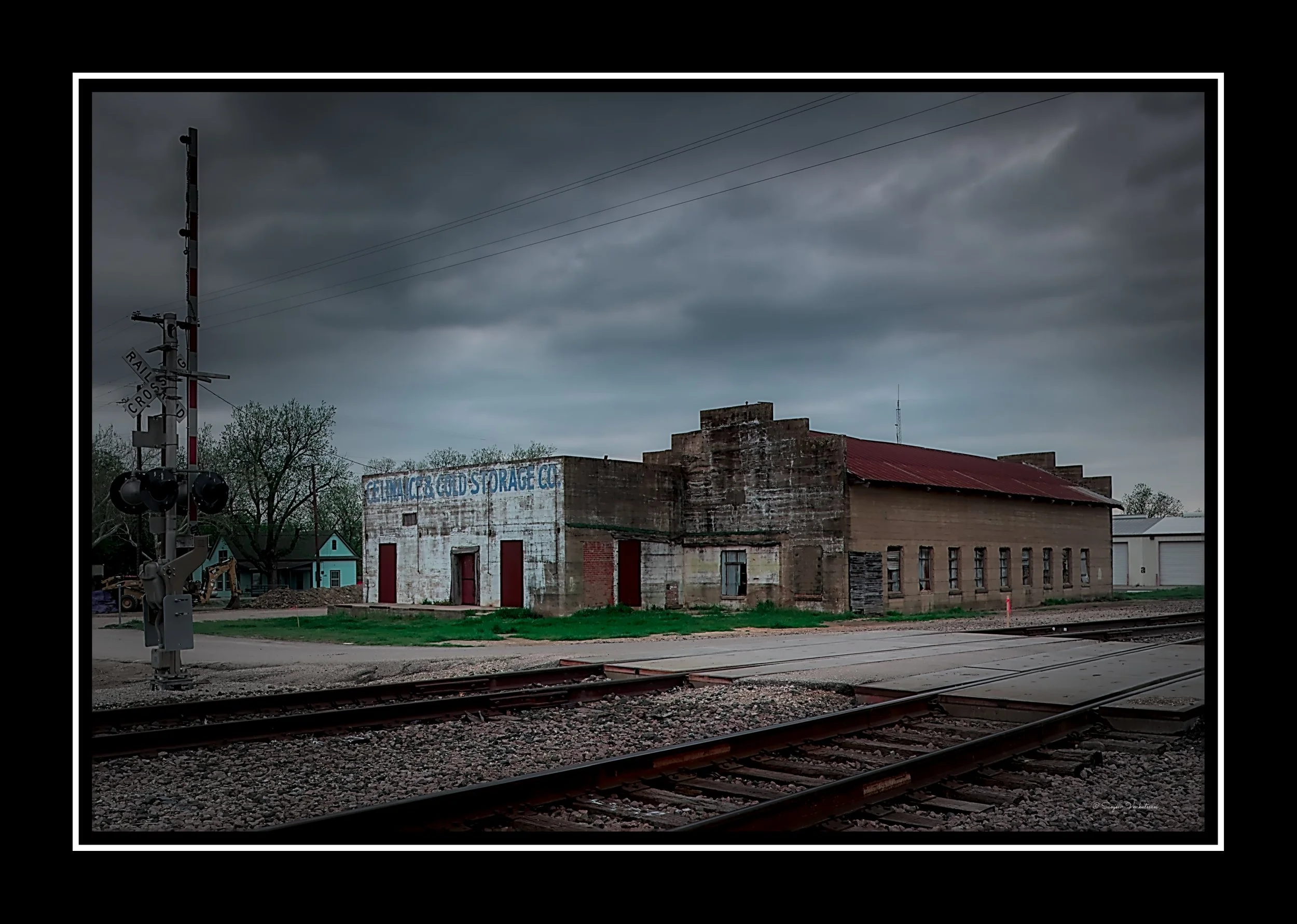 Celina cold 10x8.jpg