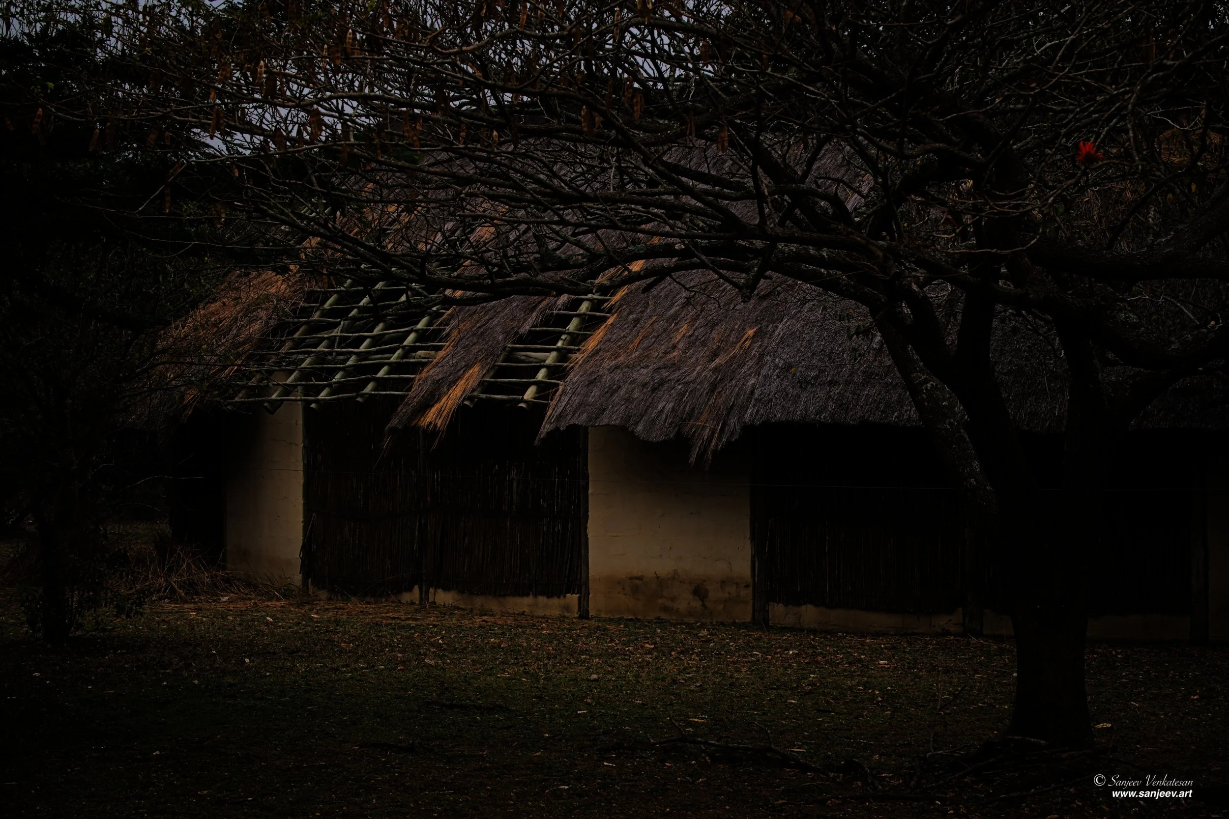 Pub Park CabinSA.jpg