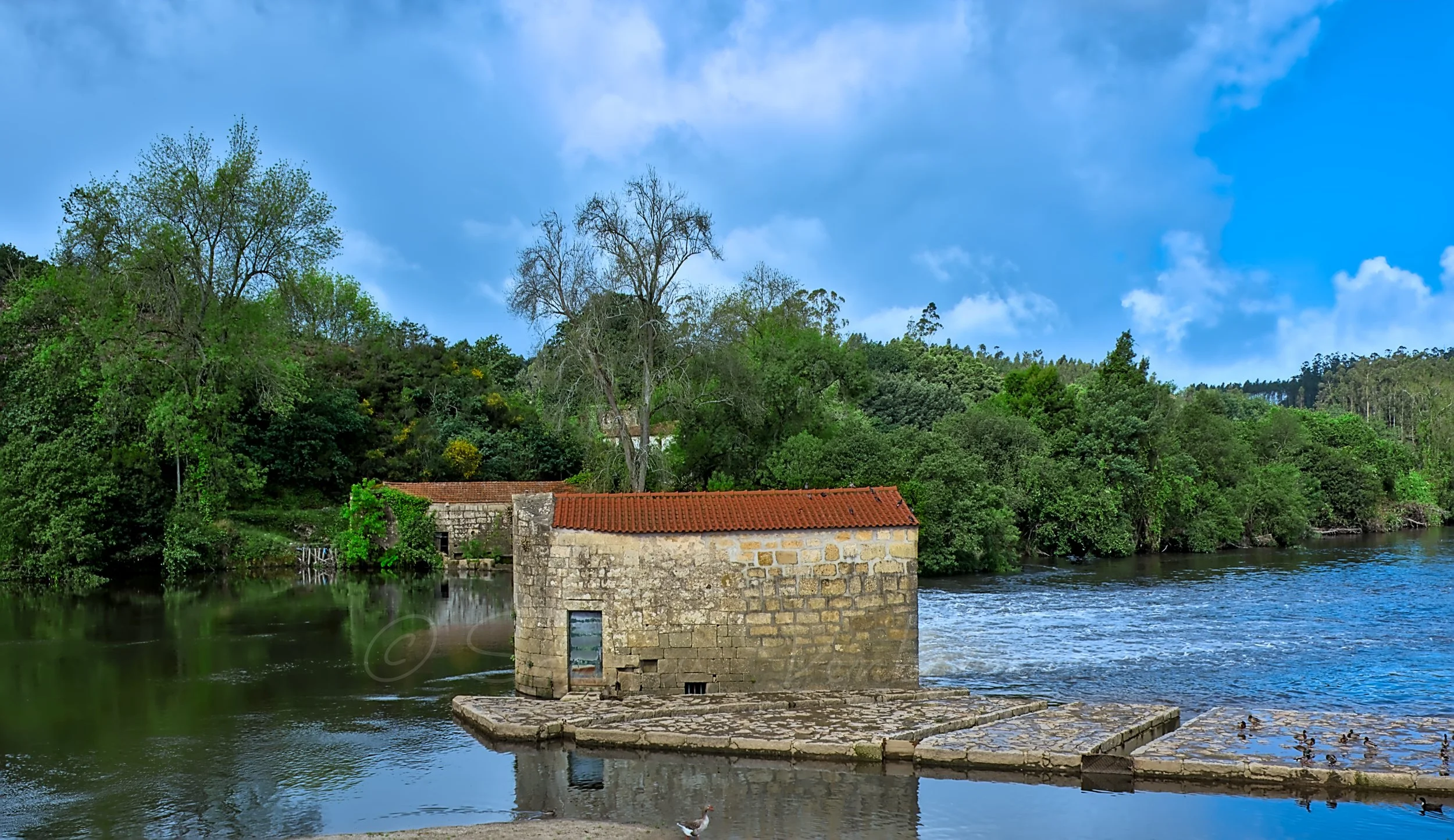 HydroMill Spain.jpg