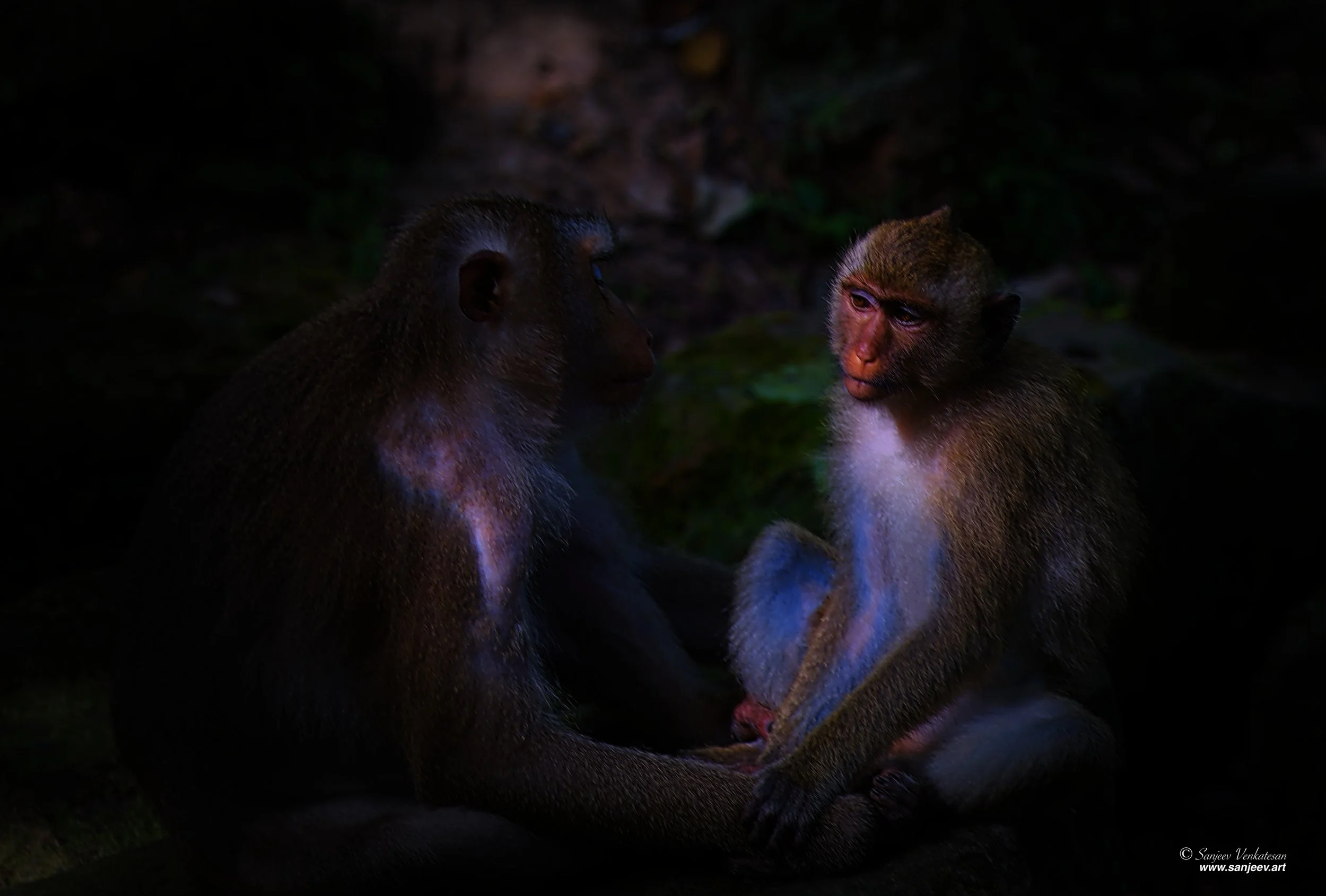 Angkor Valentine Date.jpg