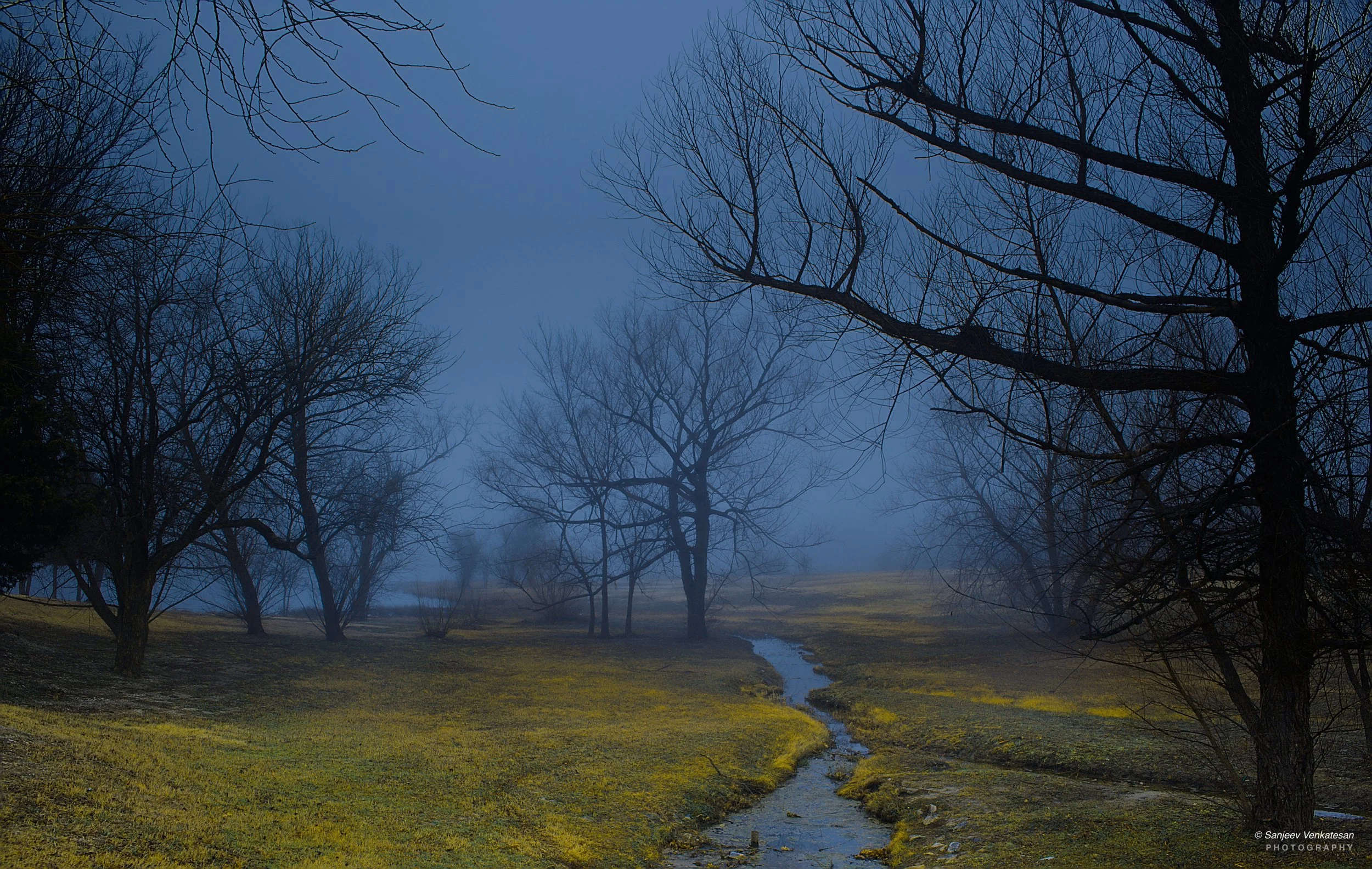 Foggy Creek HORIZON.jpg