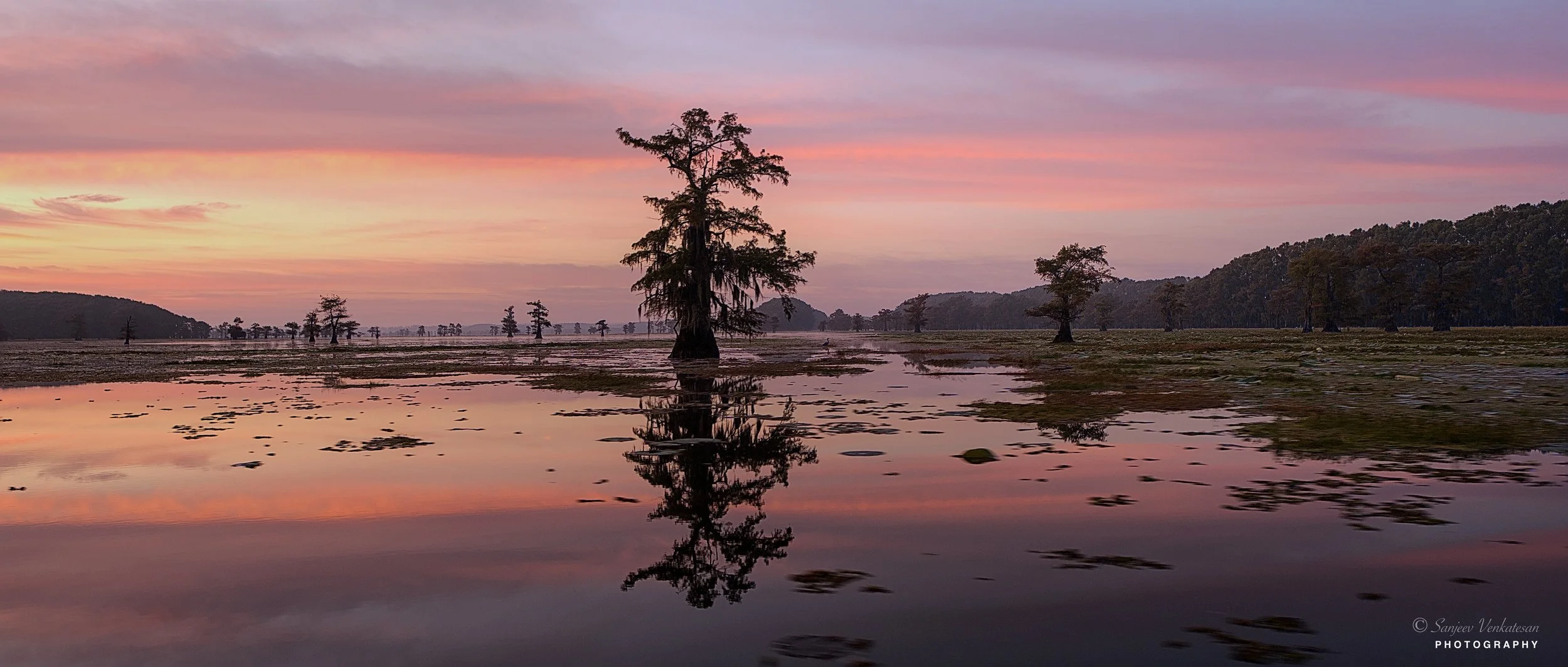 Sunrise at Caddo.jpg