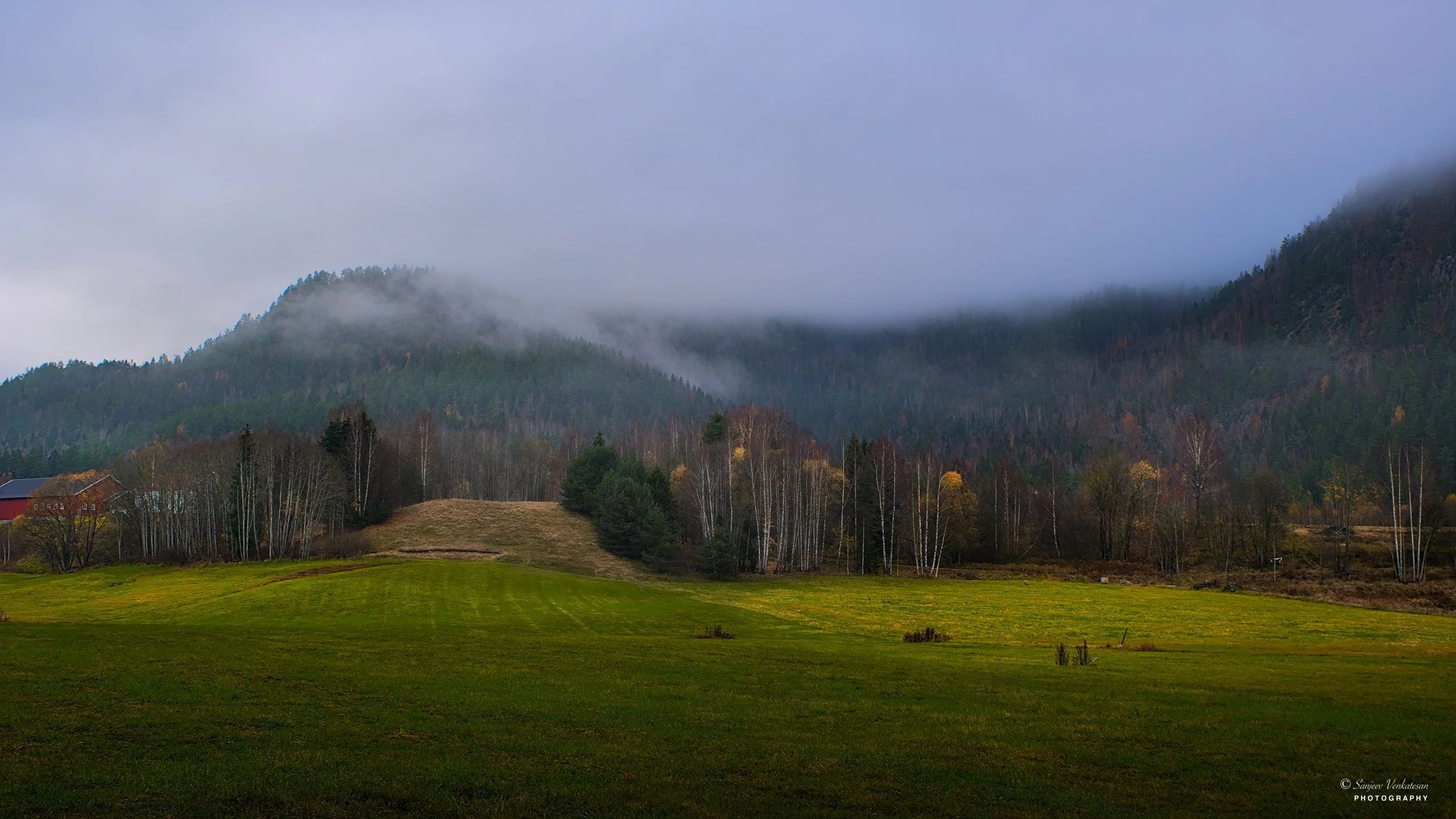 Drive Stop Landscape.jpg