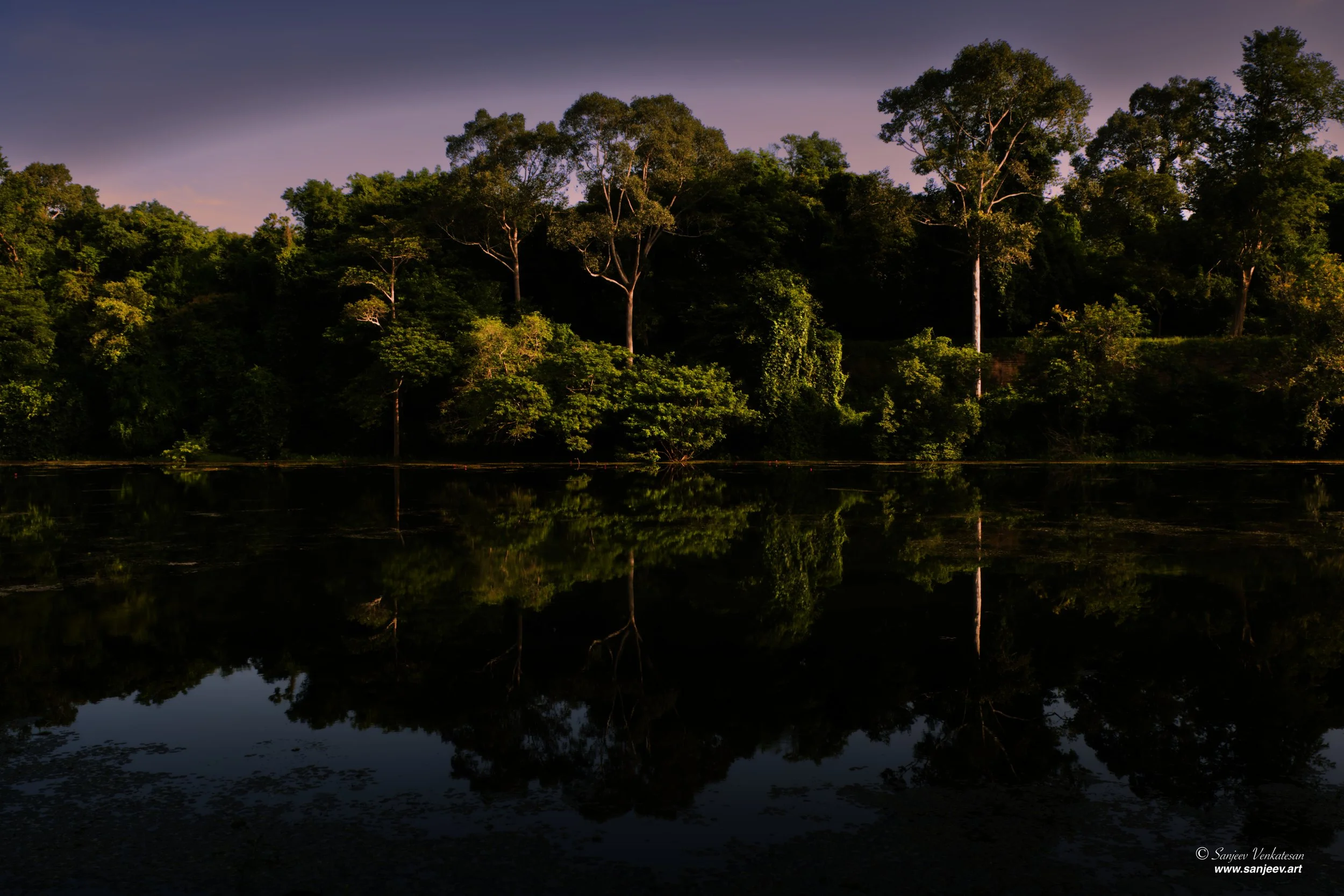 Angkorlakeview treese.jpg