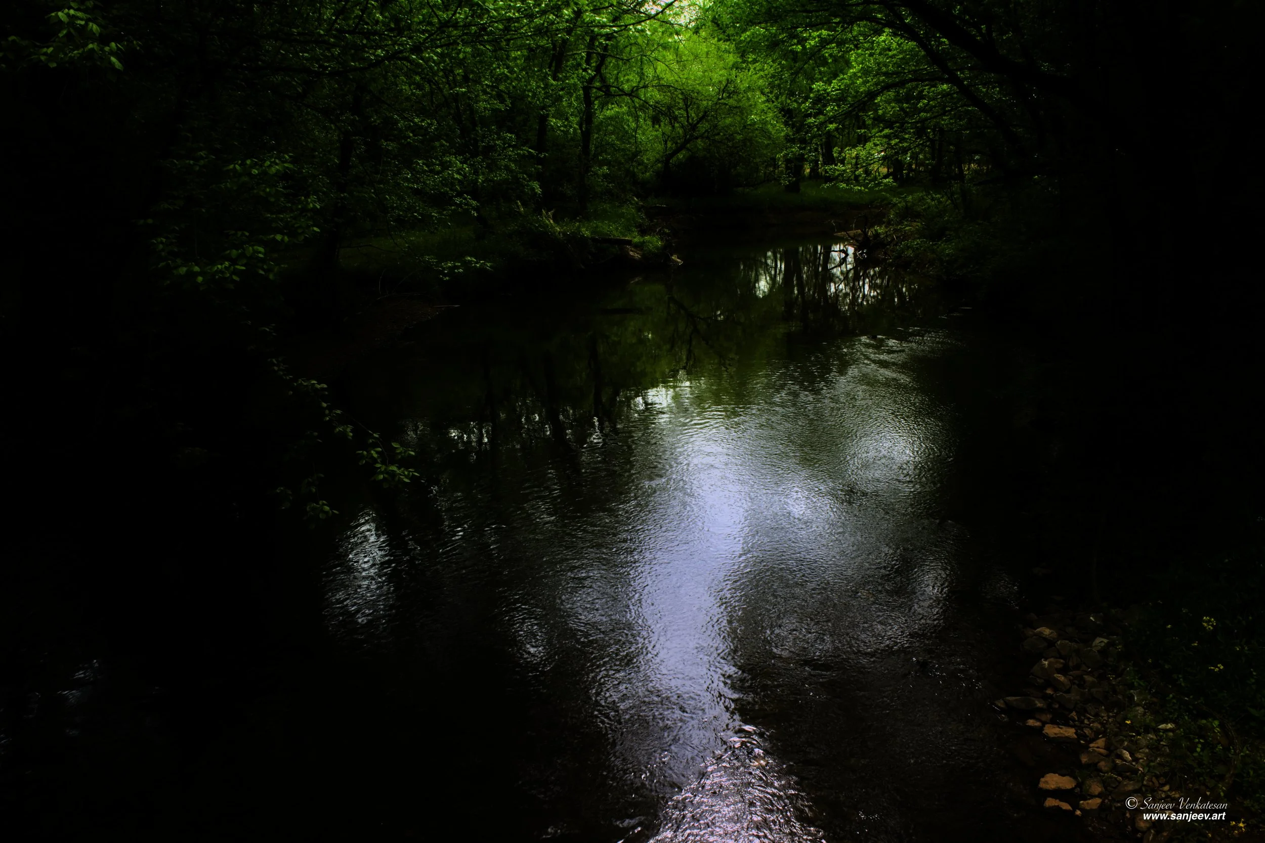 Indian BrookHORIZON.jpg
