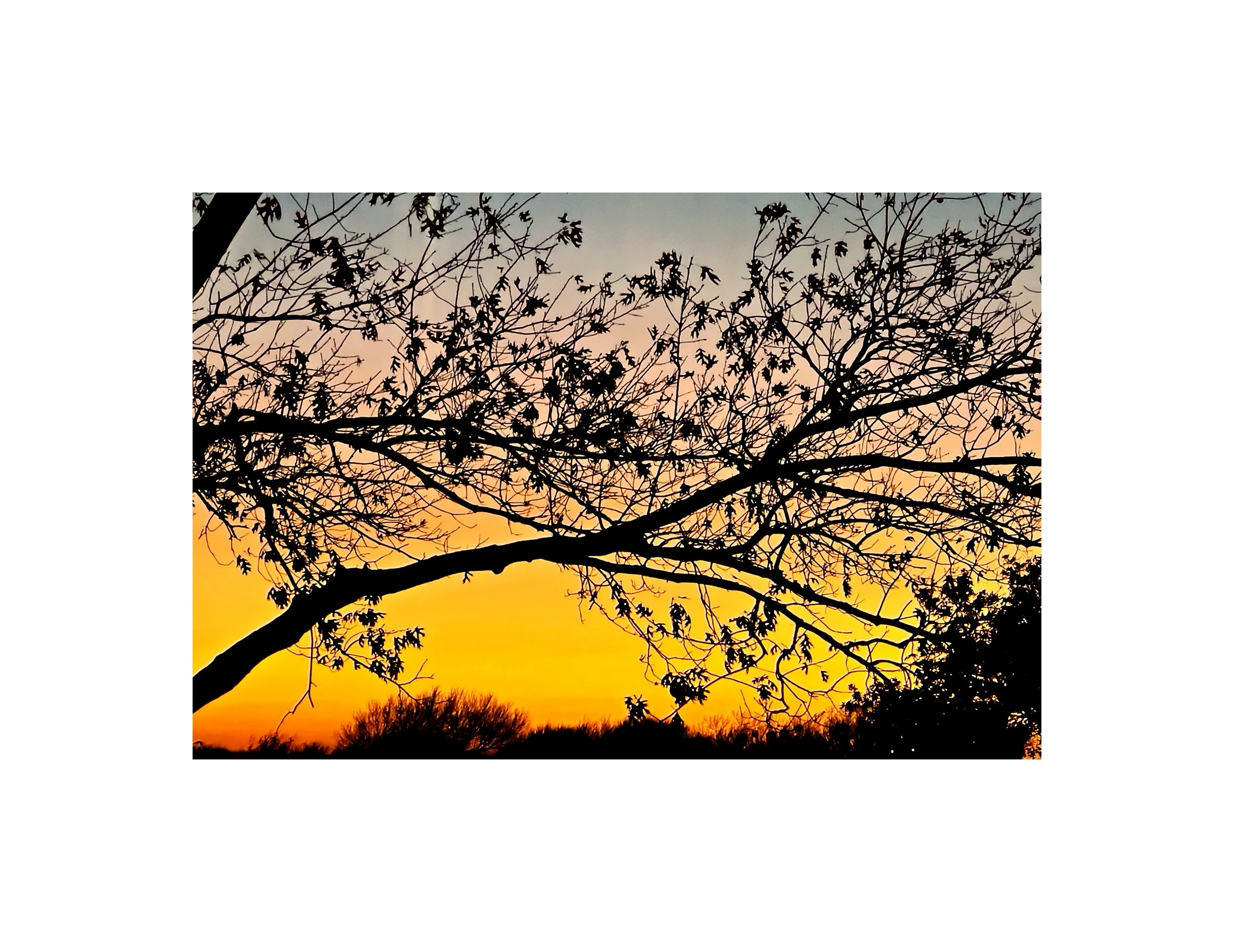 Sunsets