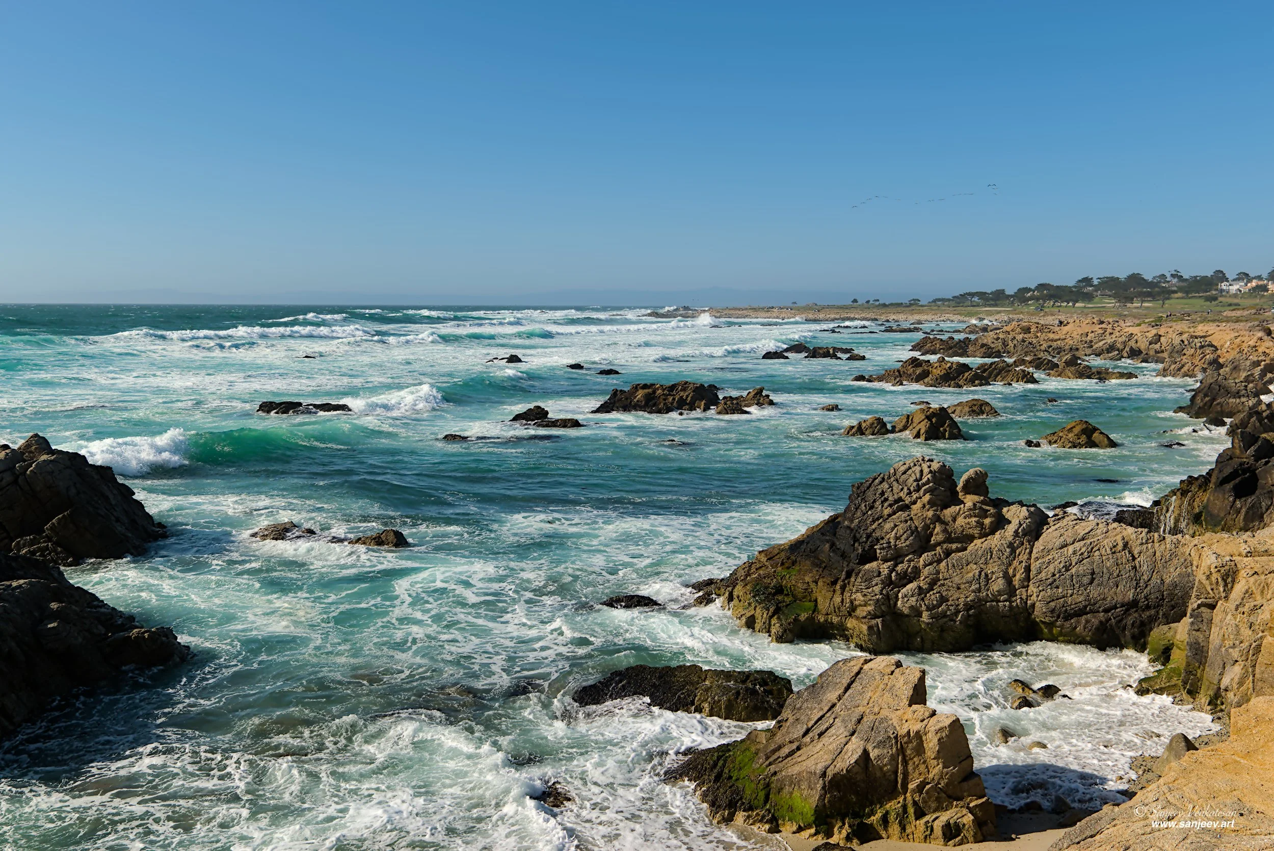 Beach Rocks HORIZON.jpg