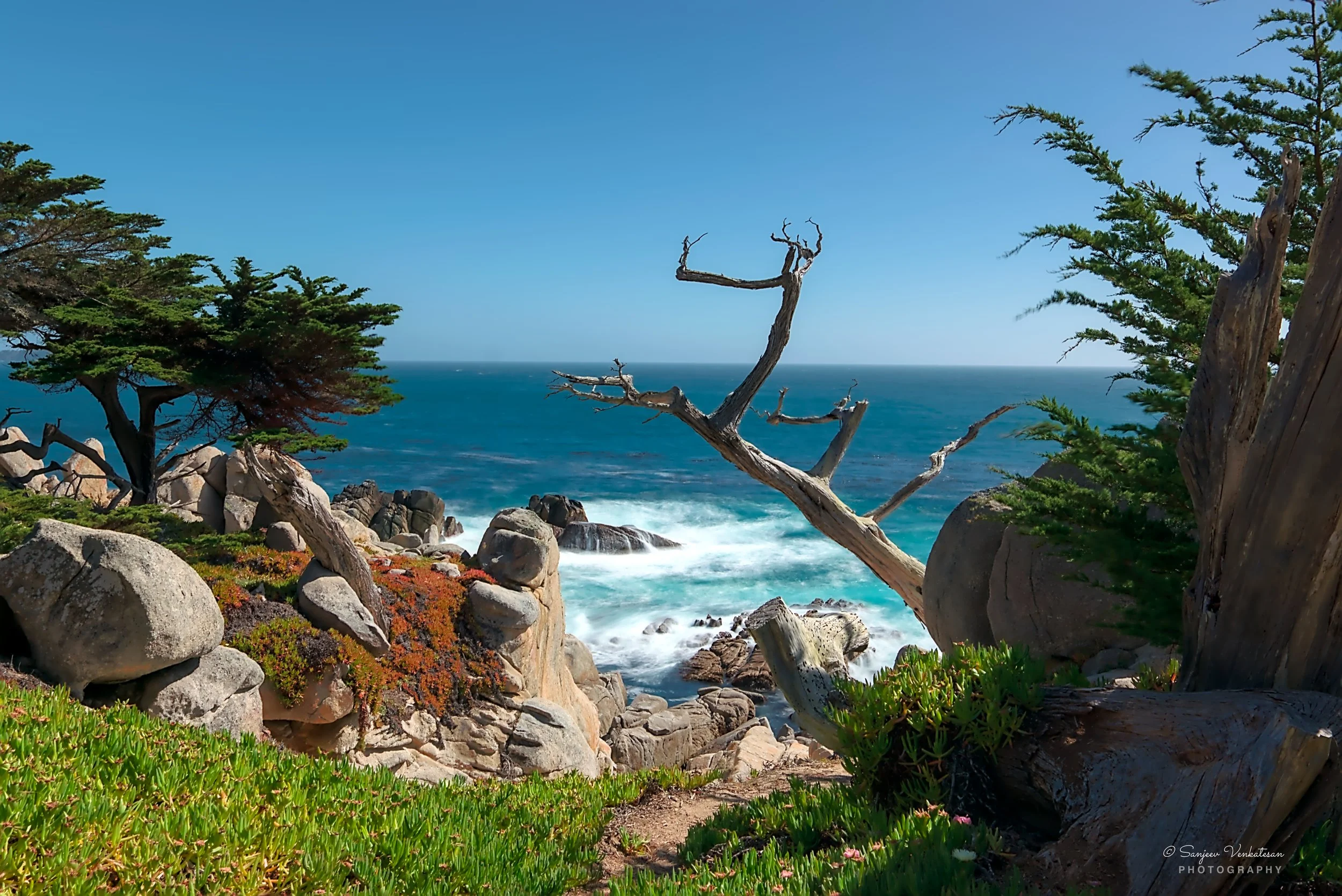 ocean view 12x18 600DPI.jpg