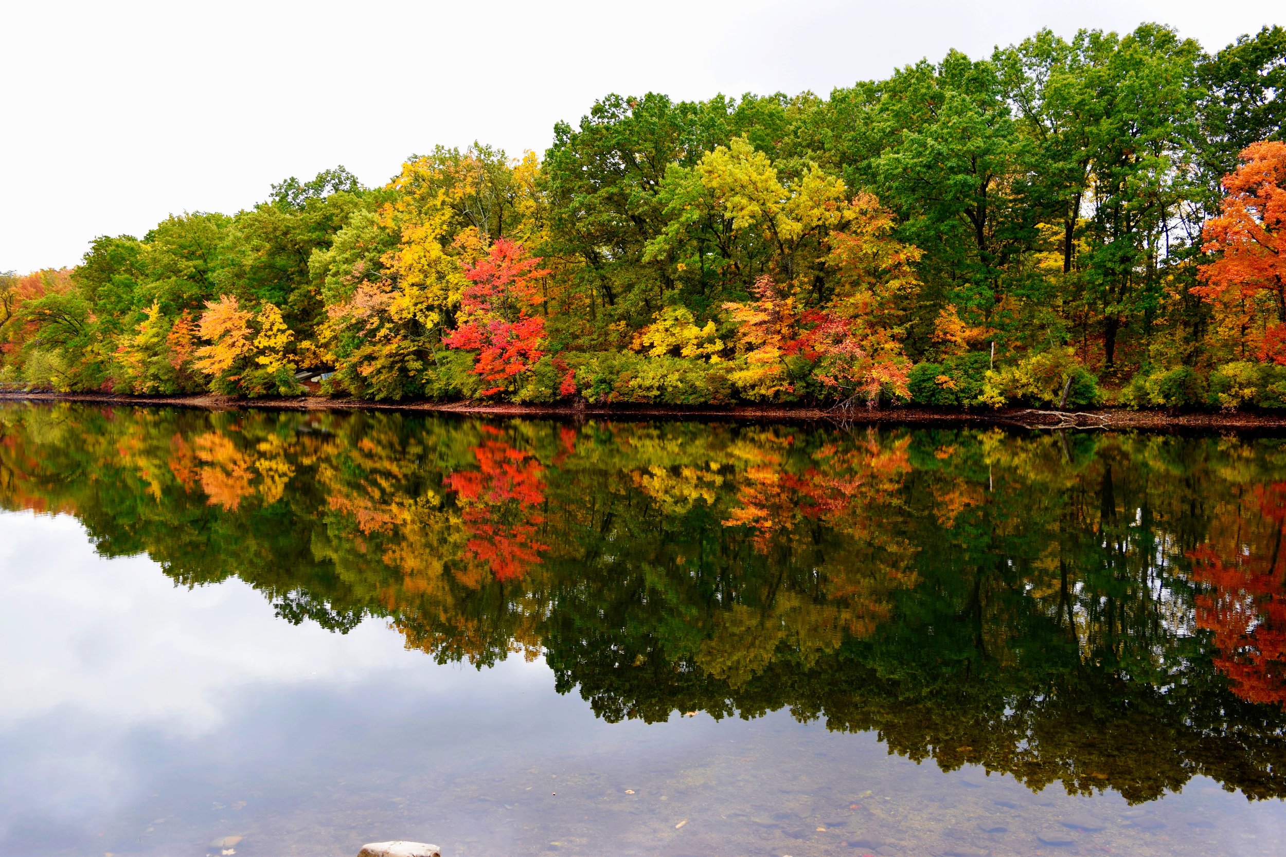 lake fall reflection copy.jpg