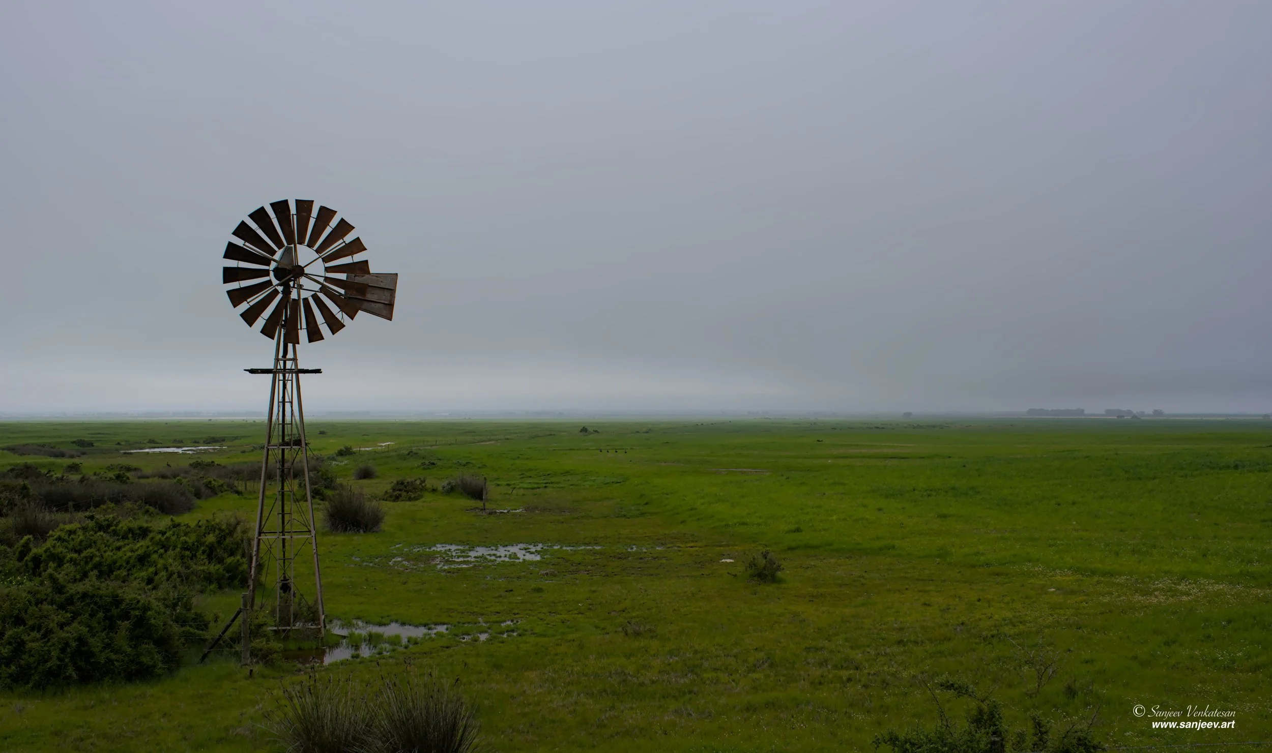 WindMill HORIZON.jpg