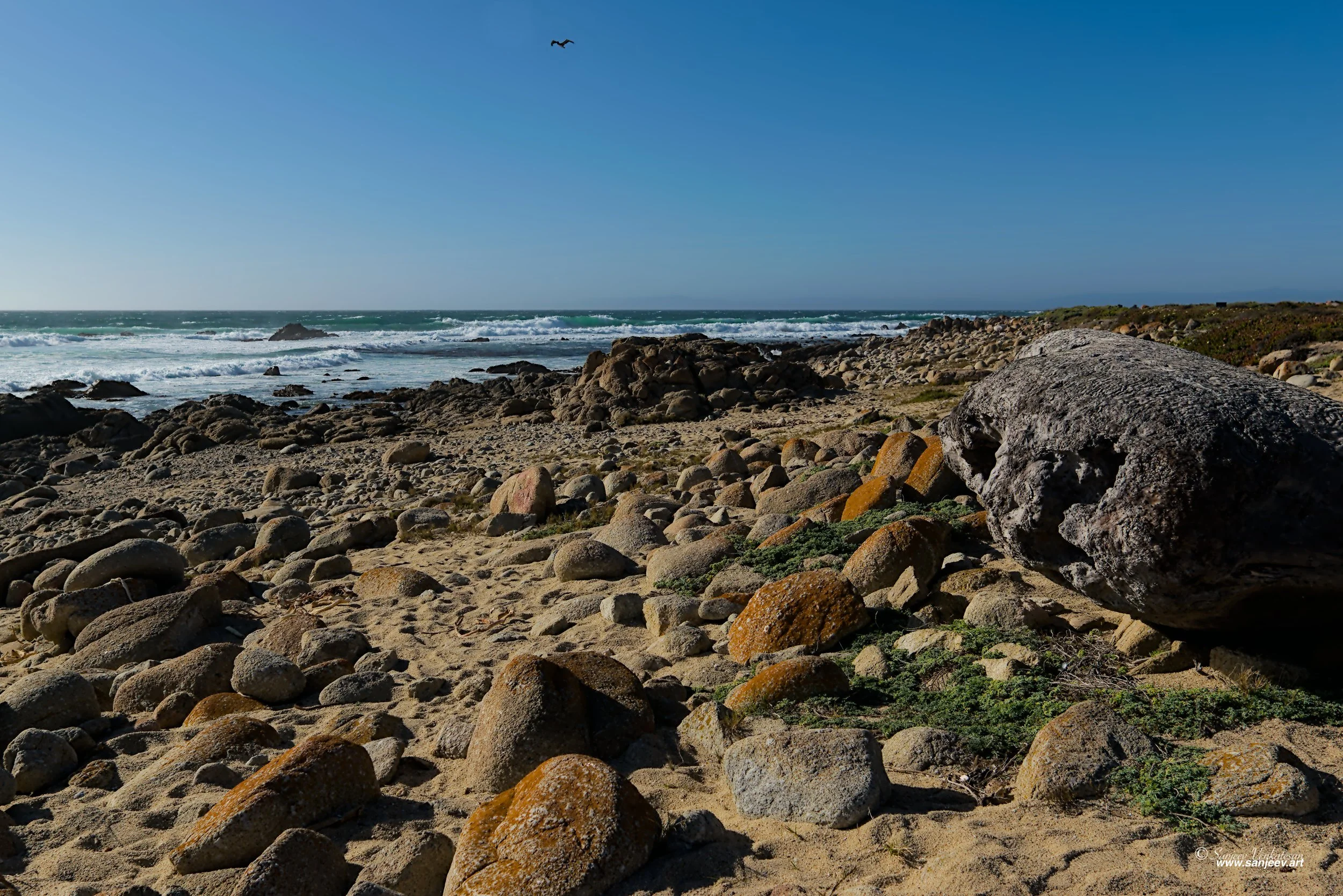 Rock BeachHORIZON.jpg