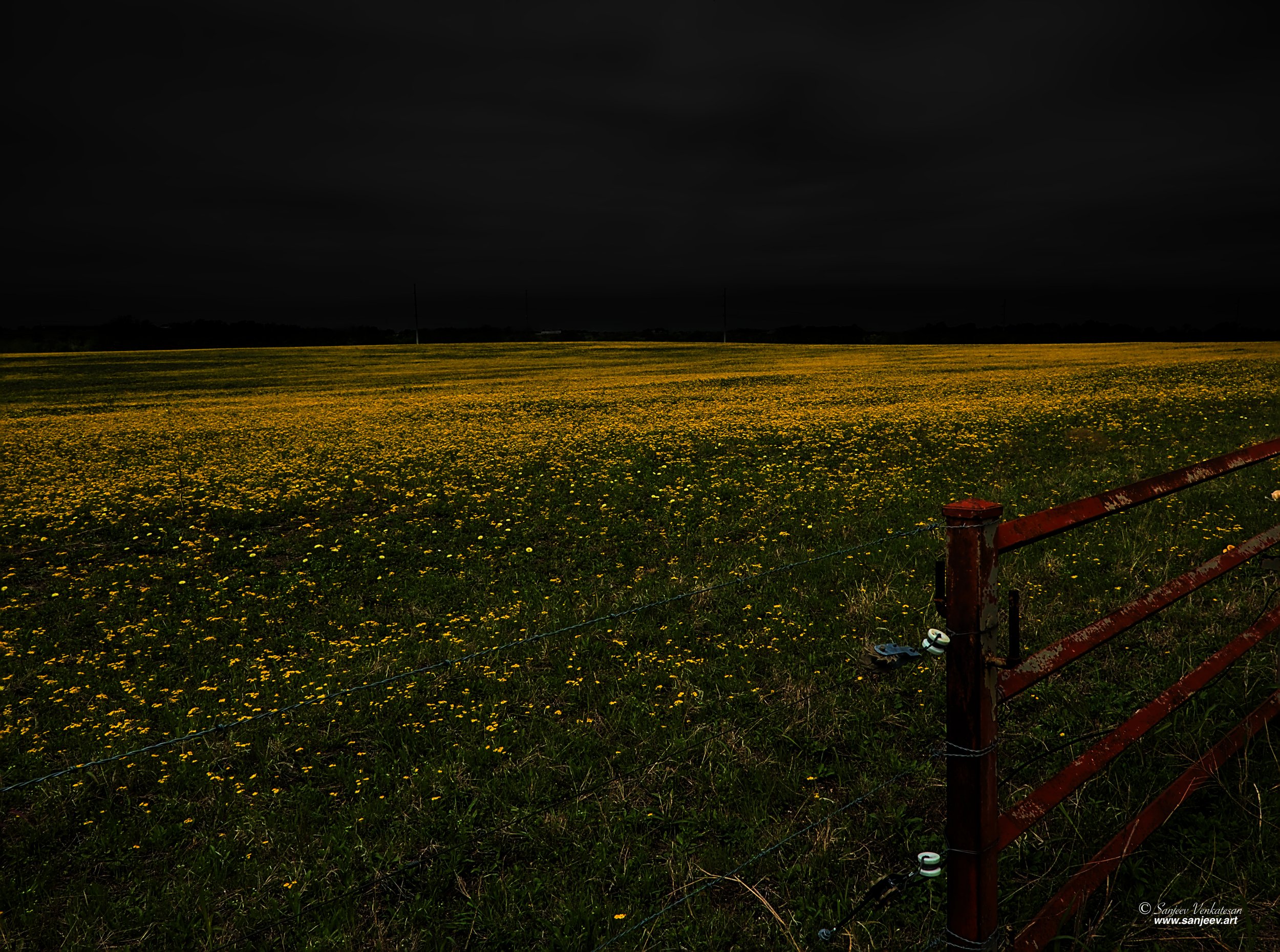 Yellow Field Red Fence.jpg