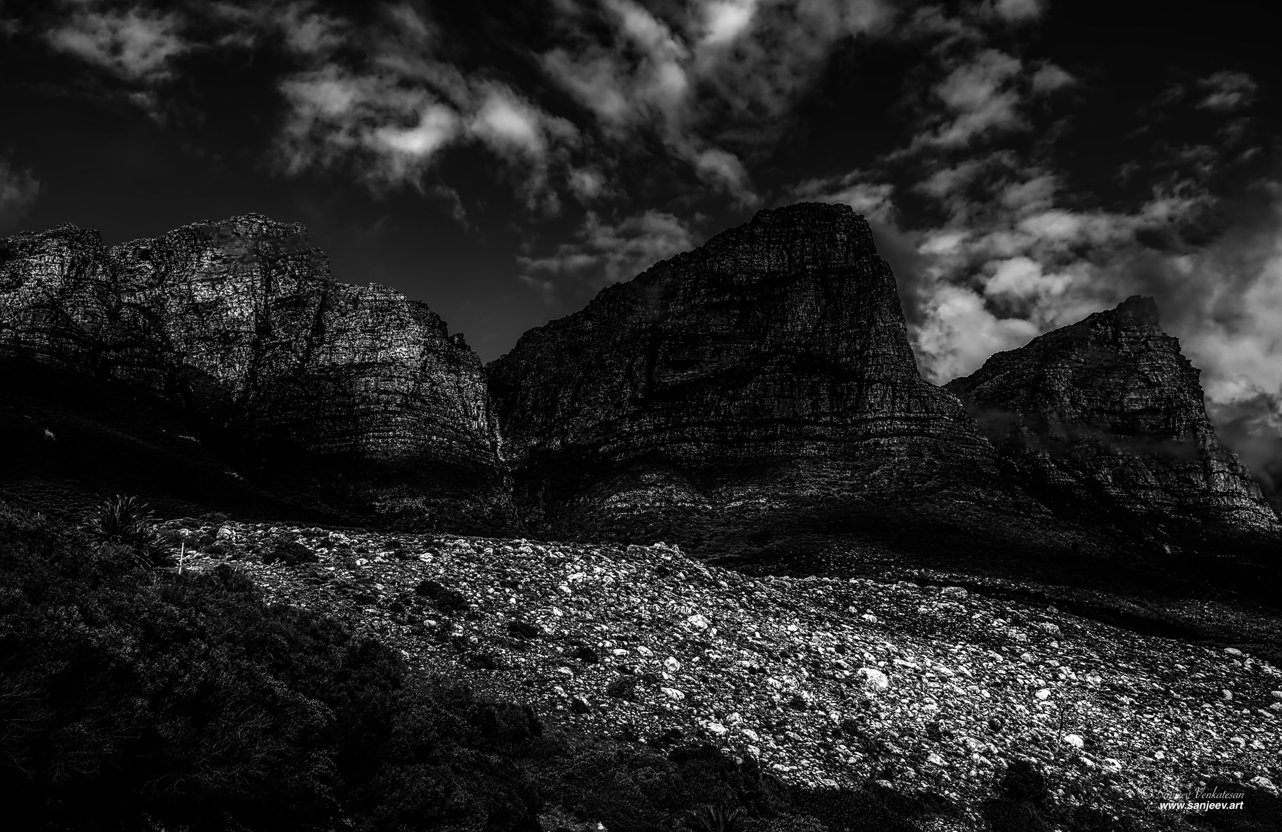 Pub BNW 12 Apposils.jpg