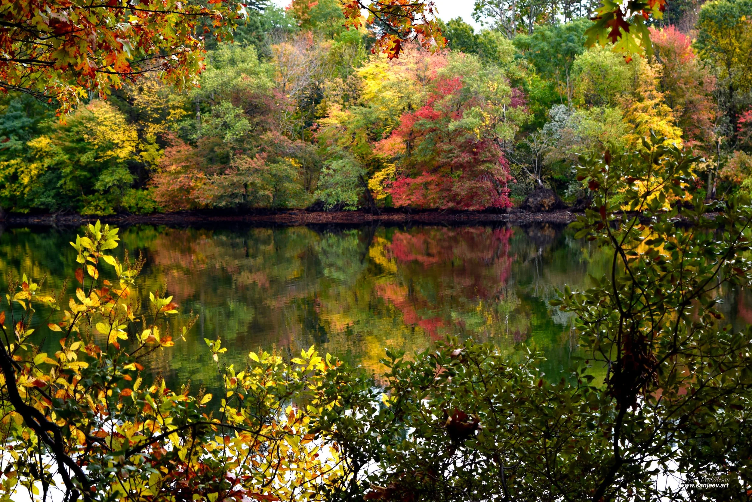 Color of fall HORIZON.jpg